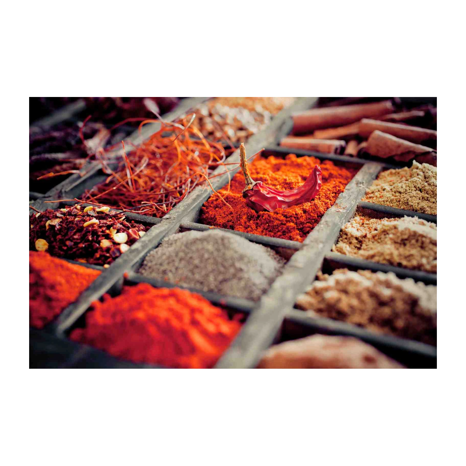 Vibrant Spice Mix & Chili Wall Art