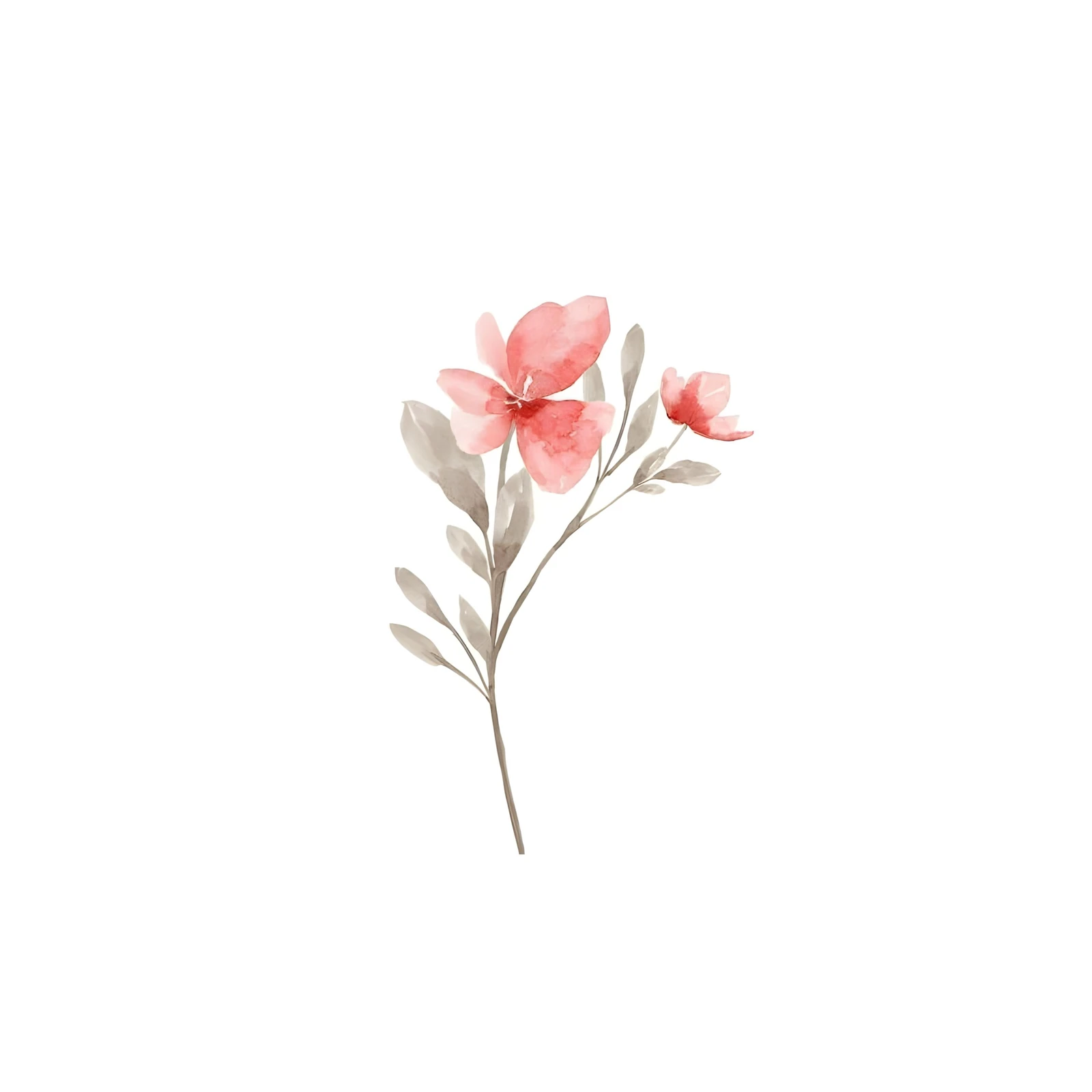Soft Coral Floral Watercolor Minimalist Wall Art