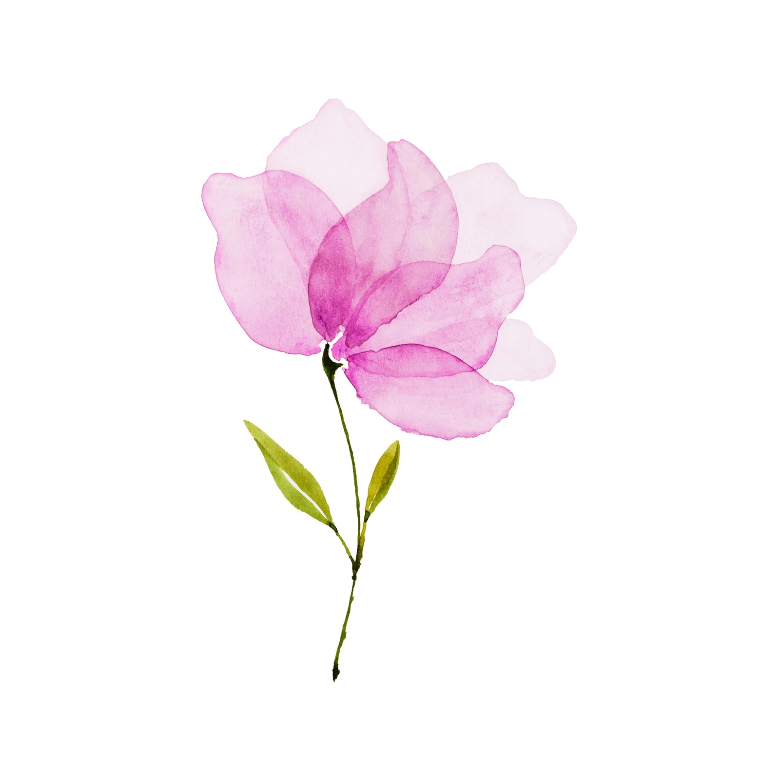 Pink Watercolor Flower Art Wall Art