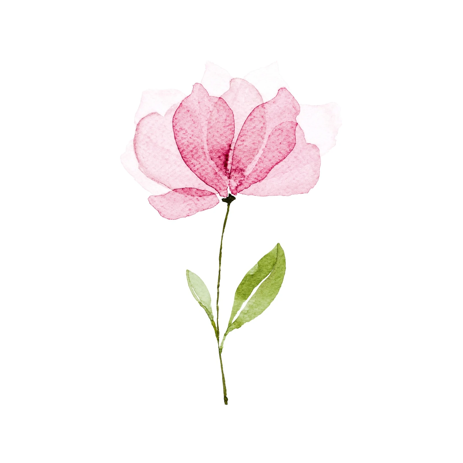 Elegant Pink Watercolor Flower Wall Art