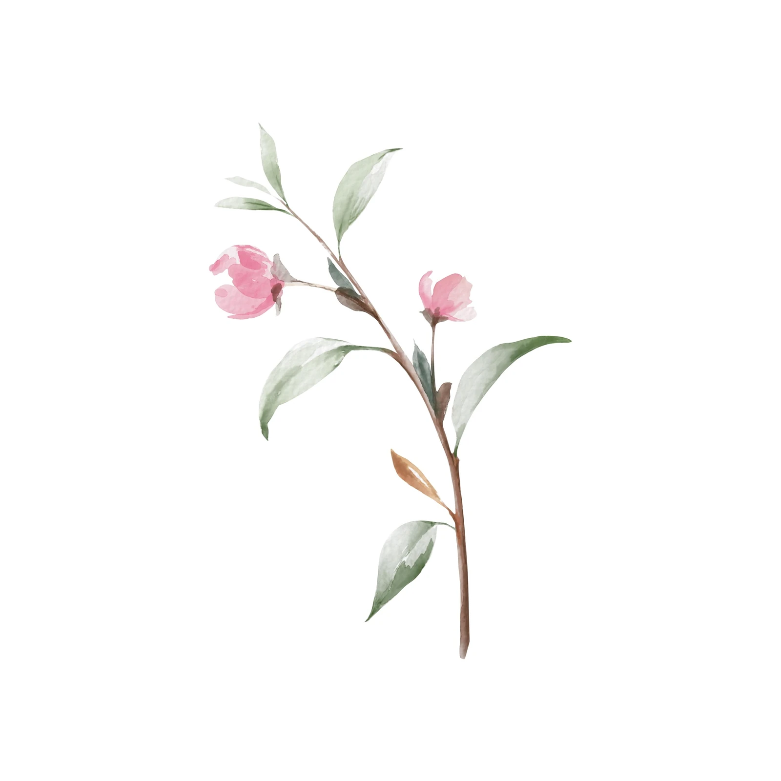 Delicate Pink Blossom Branch Wall Art