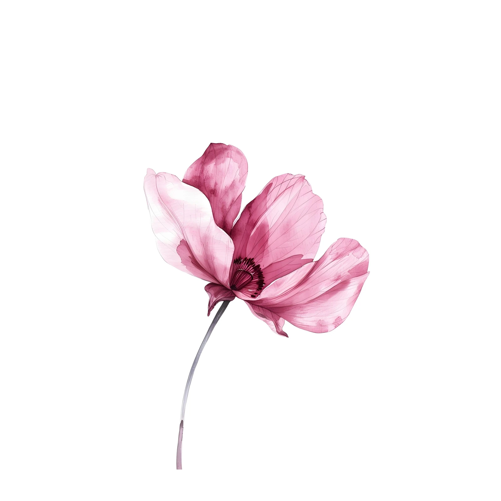 Elegant Pink Floral Watercolor Wall Art