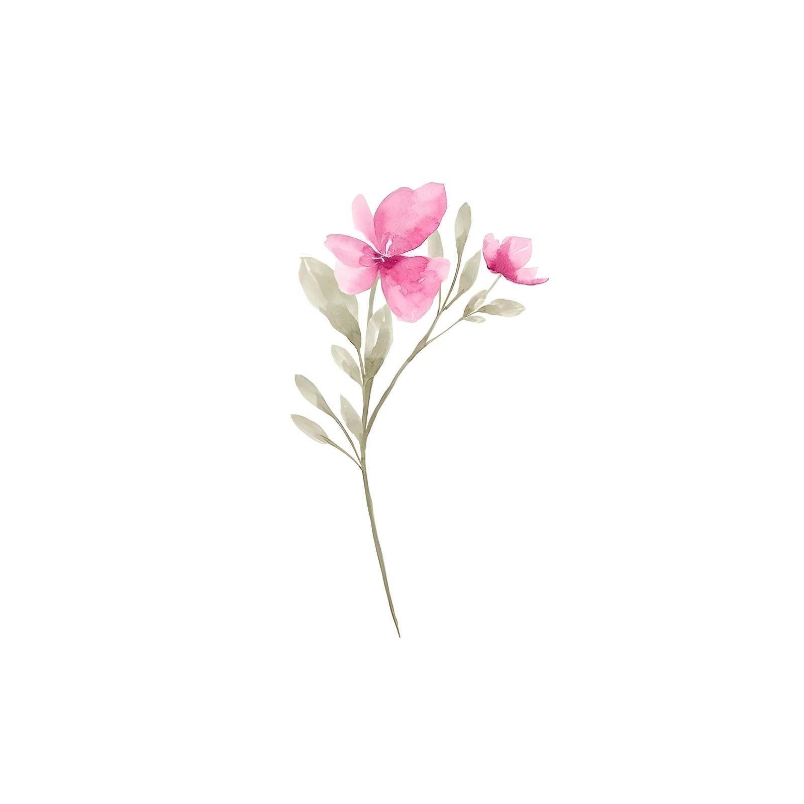 Delicate Pink Floral Watercolor Wall Art