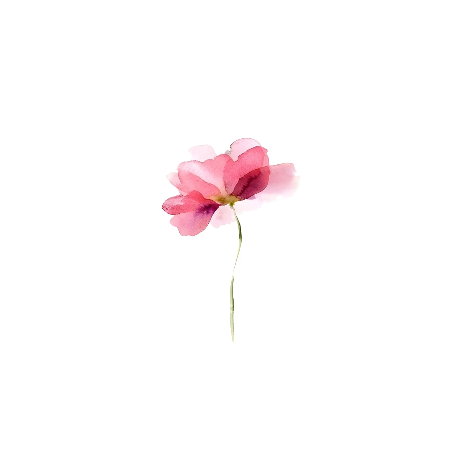Delicate Pink Blossom Watercolor Wall Art