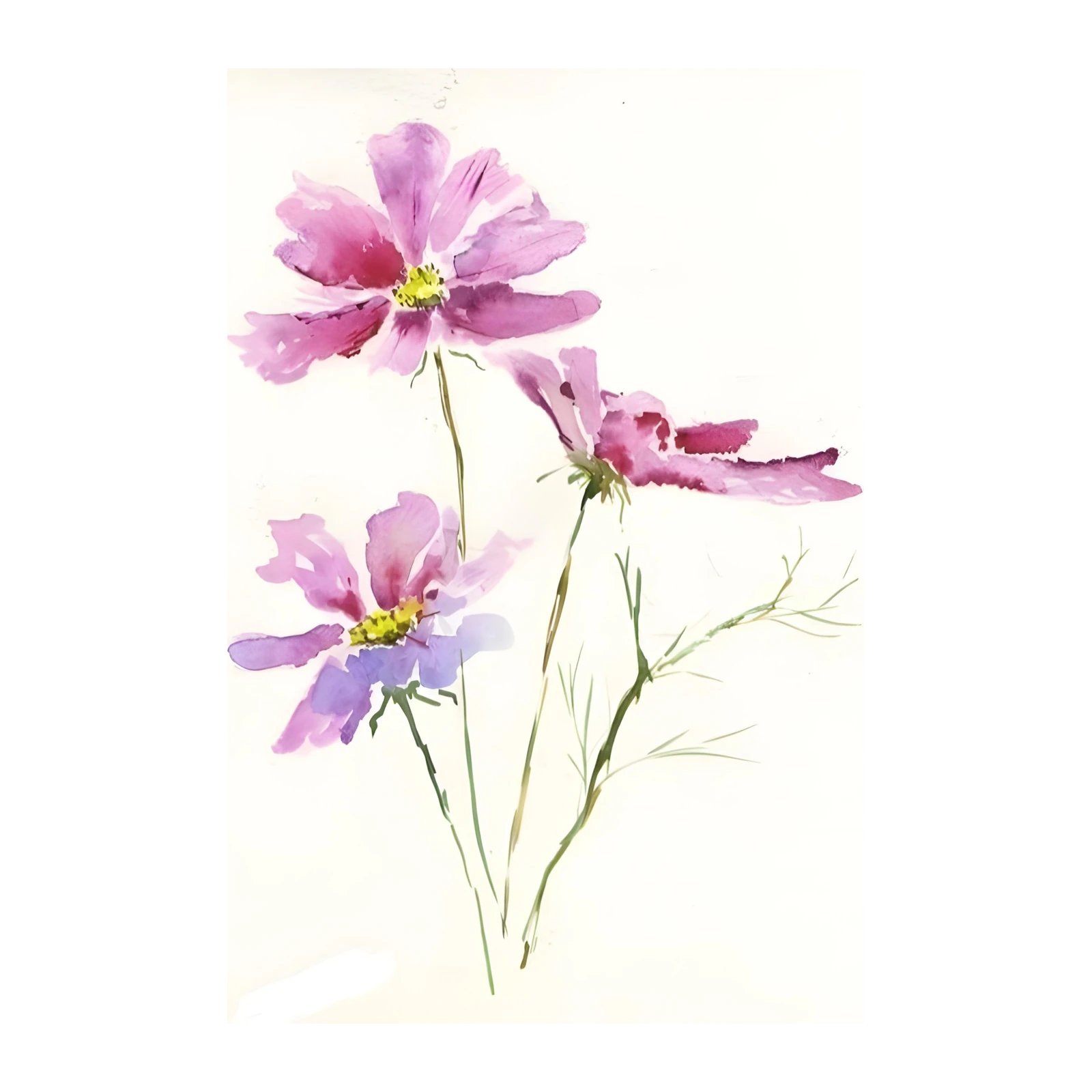 Pink Cosmos Watercolor Floral Wall Art