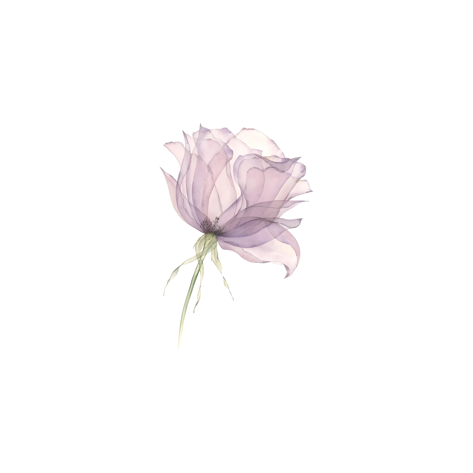 Ethereal Lavender Rose Botanical Wall Art