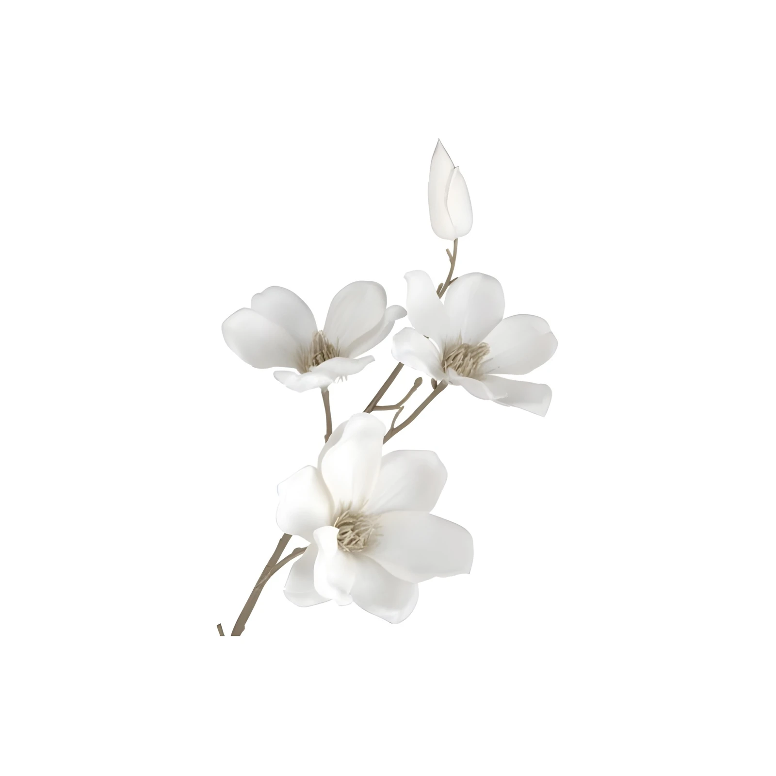 Elegant White Magnolia Branch Wall Art