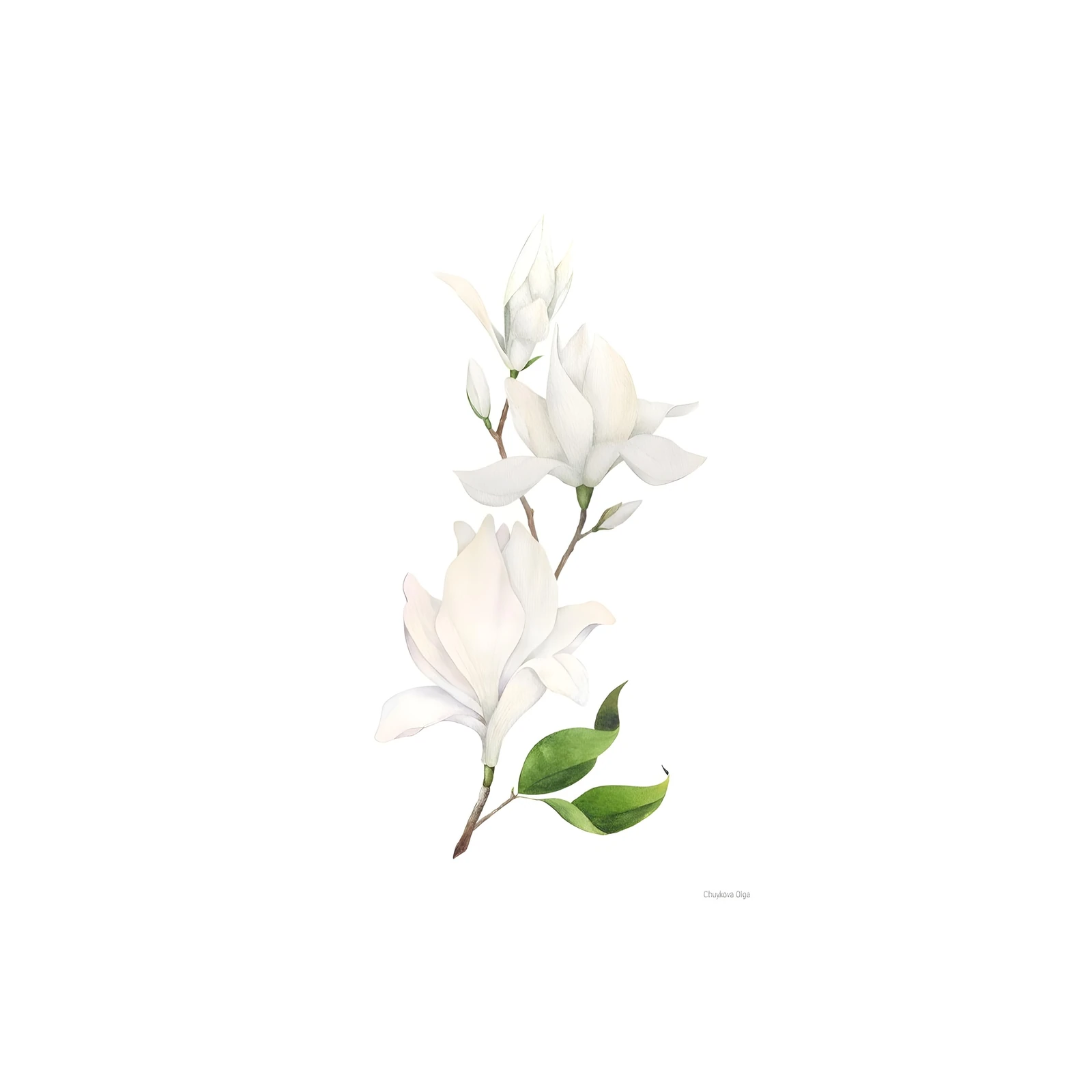 Elegant White Magnolia Blossom Wall Art