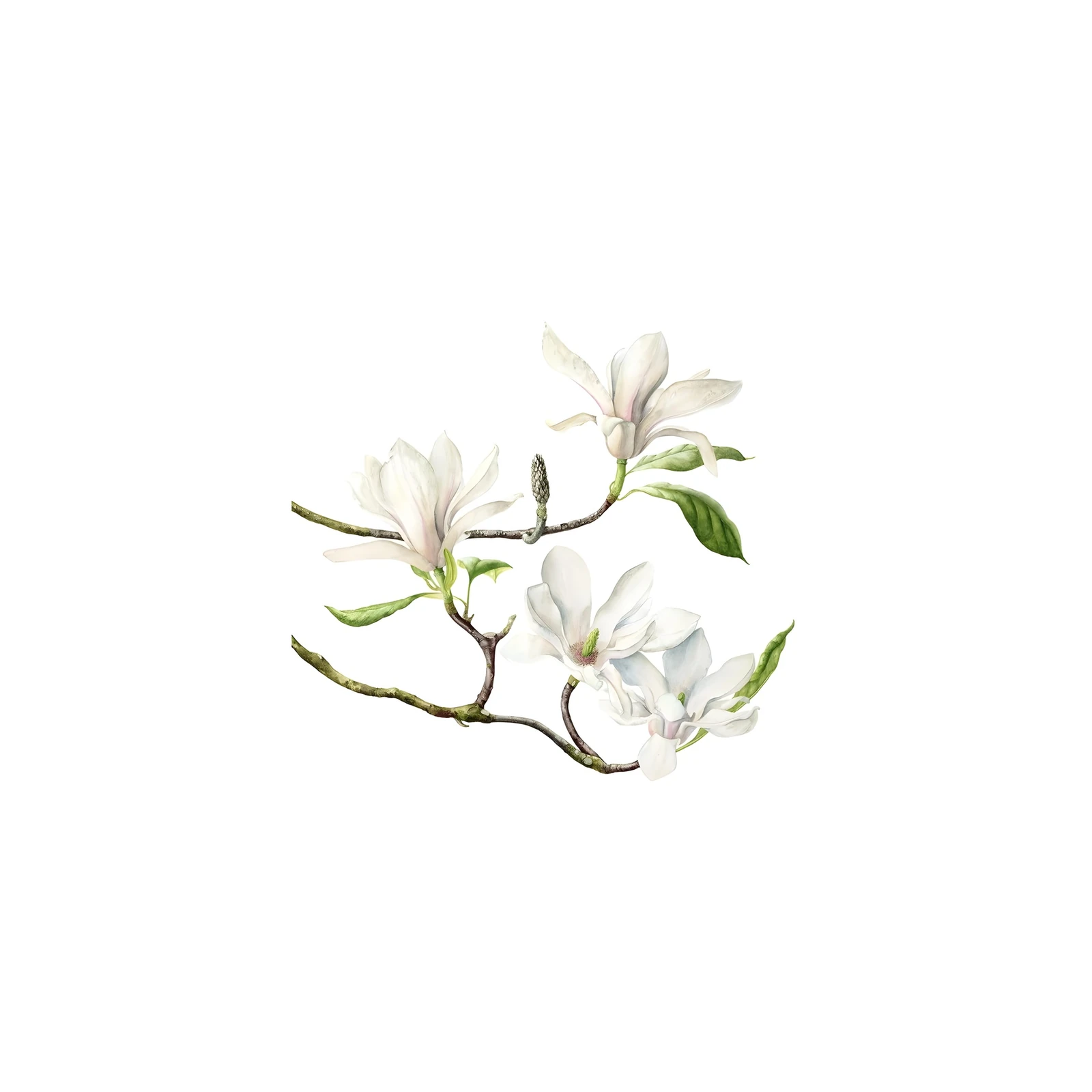 Elegant White Magnolia Botanical Wall Art