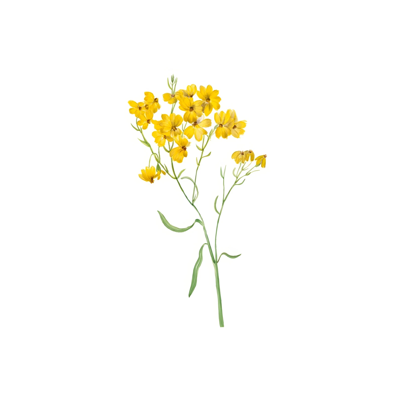 Vibrant Yellow Wildflower Botanical Art Wall Art