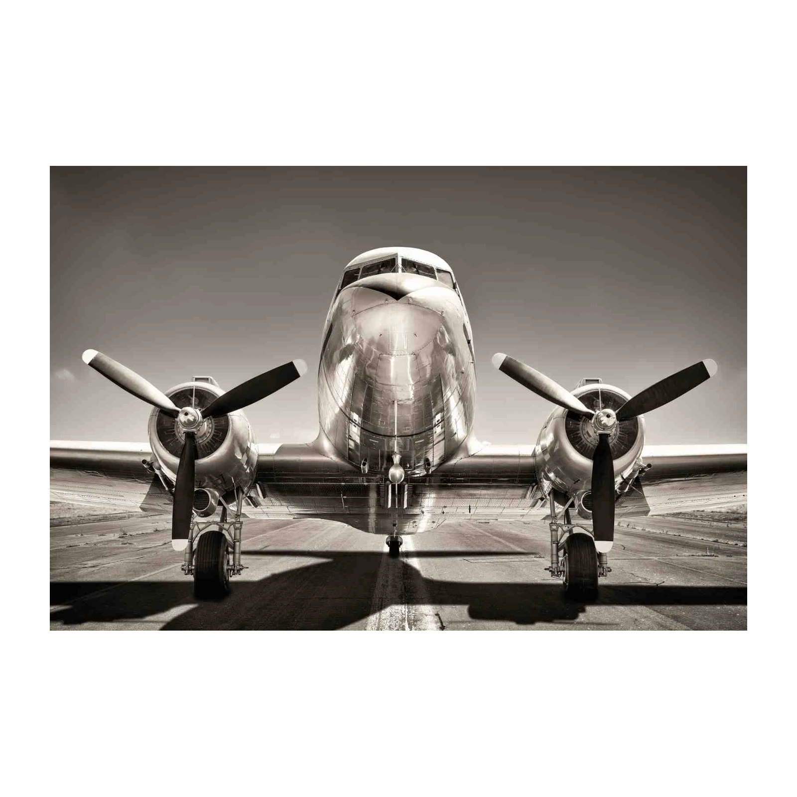 Vintage DC-3 Airplane Tarmac Wall Art