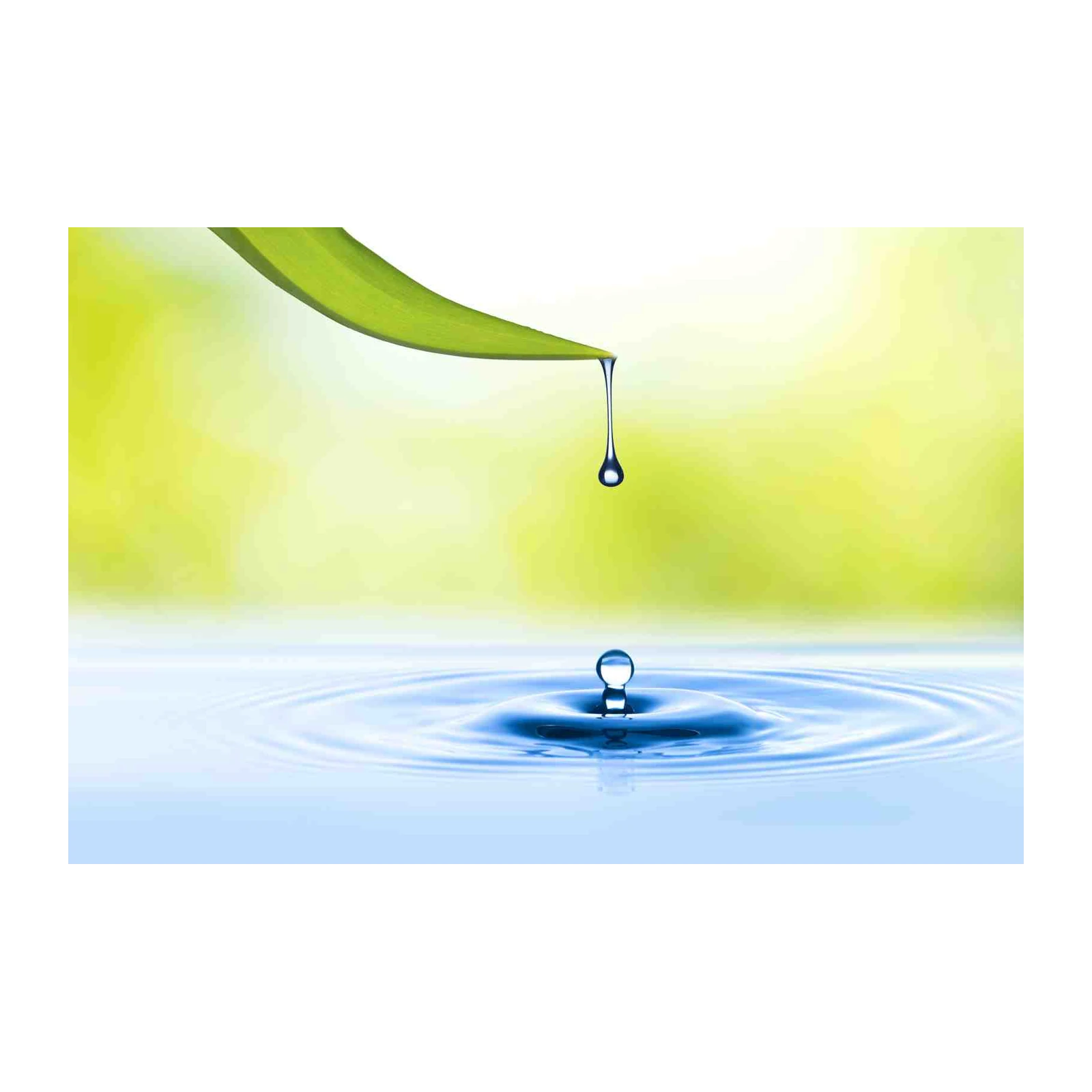 Serene Nature Water Drop Wall Art