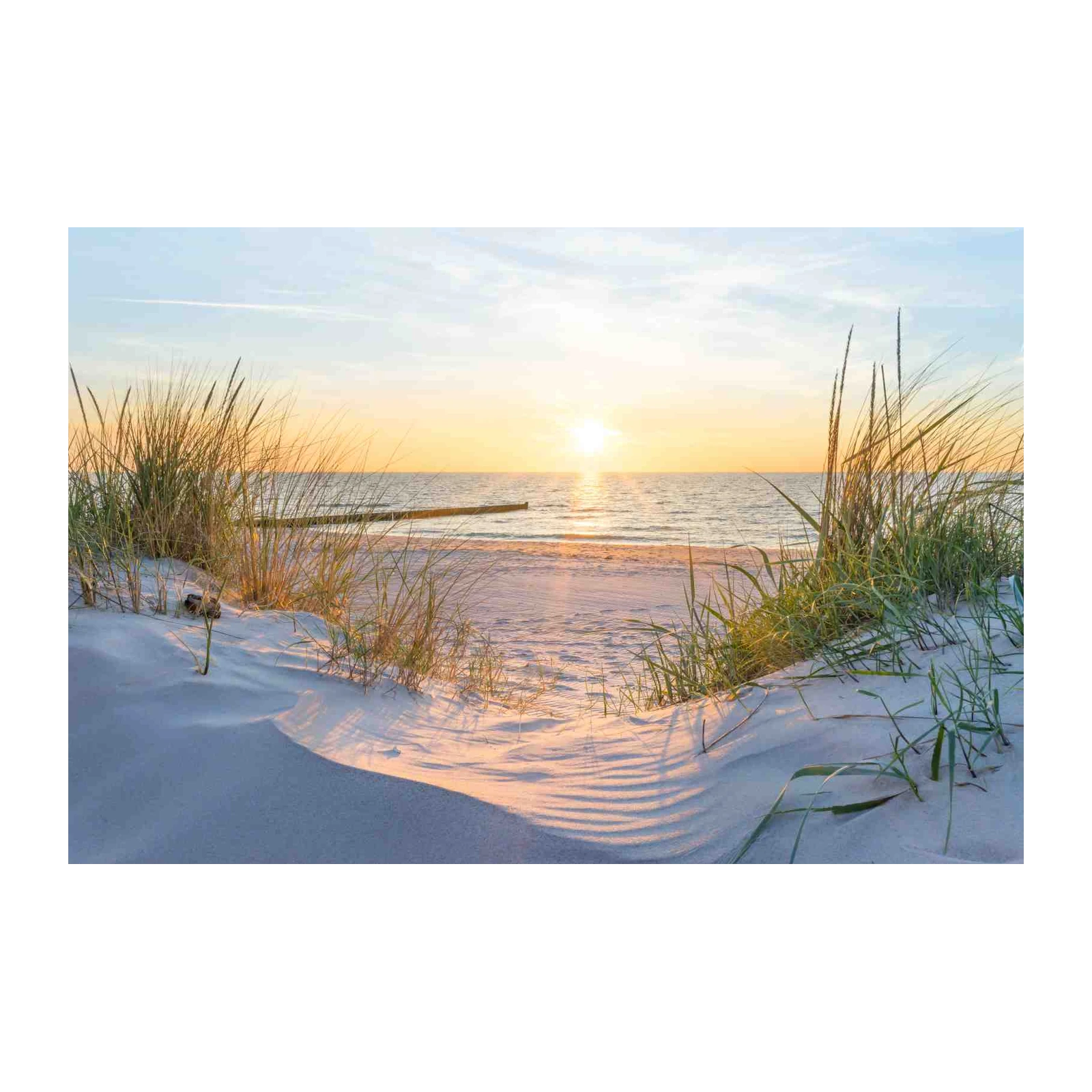 Sunset Beach Grass Wall Art - Coastal Wall Art