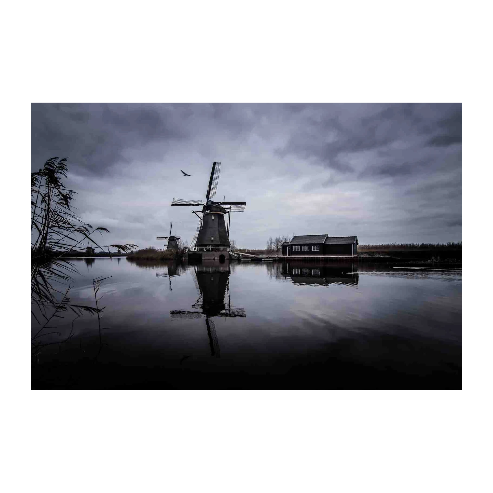 Iconic Dutch Windmills Reflection Wall Art
