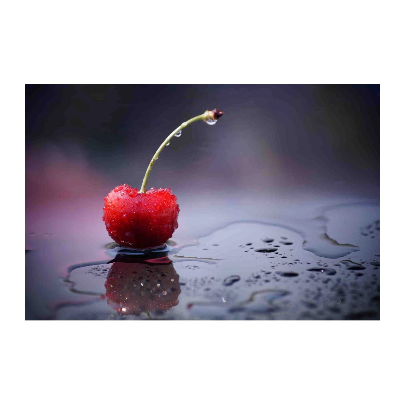 Fresh Dewy Cherry on Dark Wet Surface Wall Art
