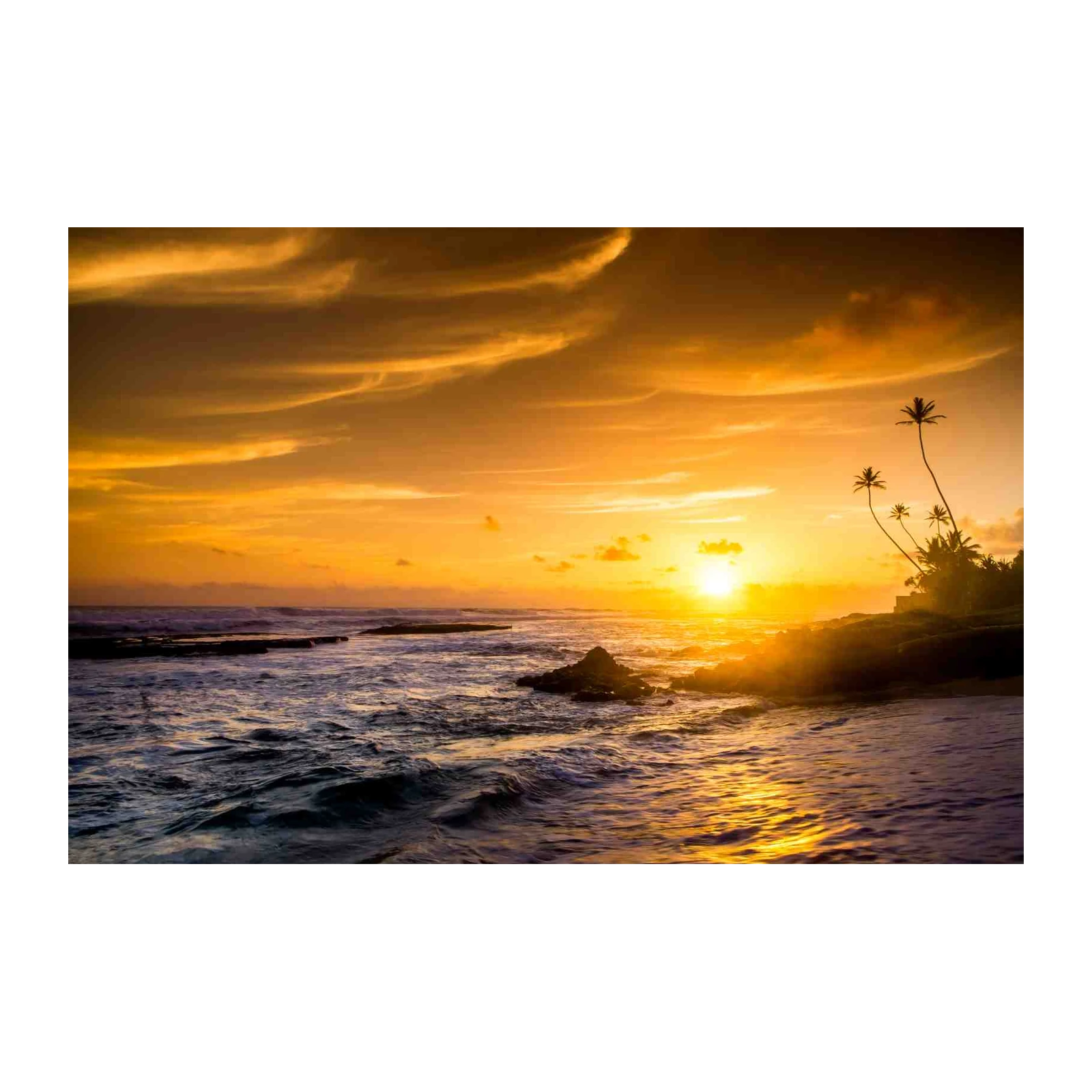 Golden Ocean Sunset Palm Trees Wall Art