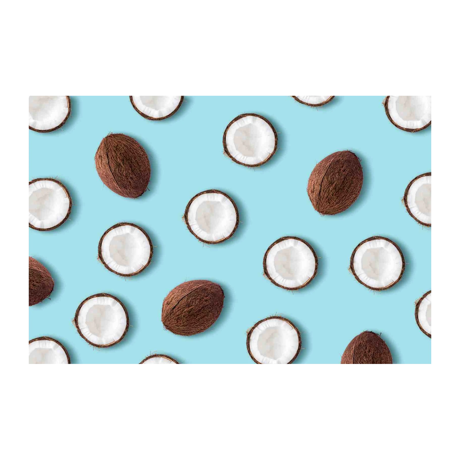 Tropical Coconut Pattern Wall Art
