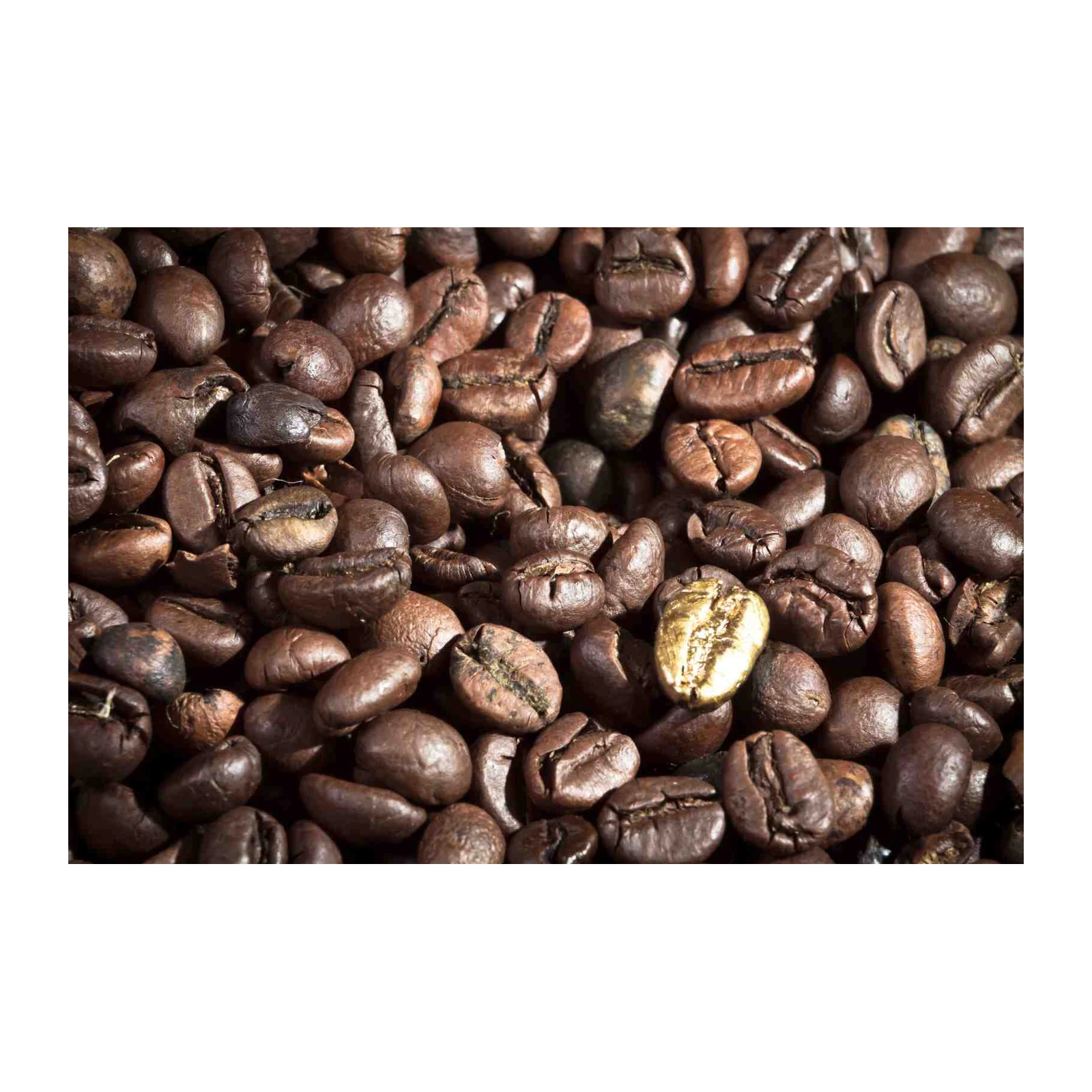 Gourmet Gold Coffee Bean Macro Art Wall Art