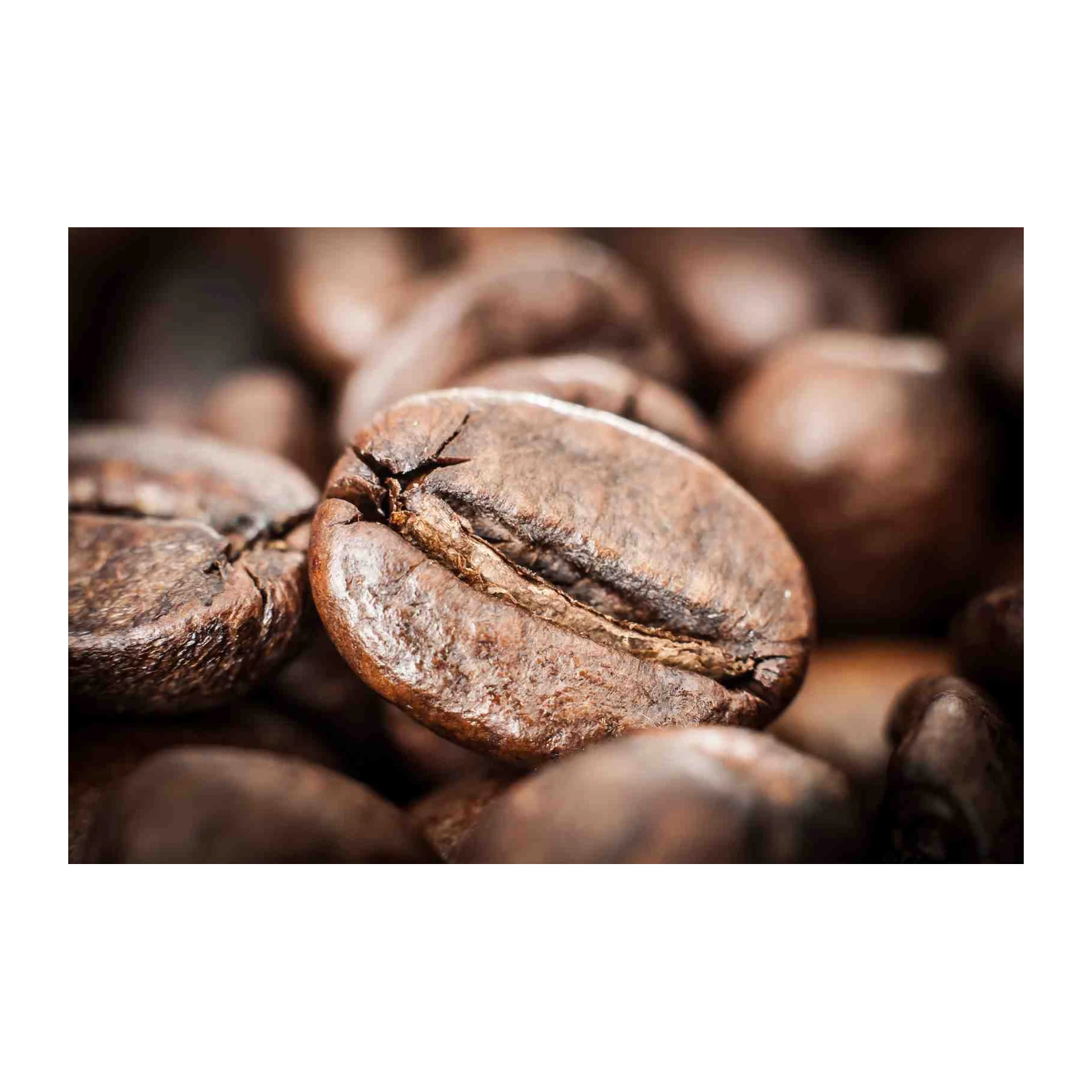 Macro Coffee Bean Art Wall Art