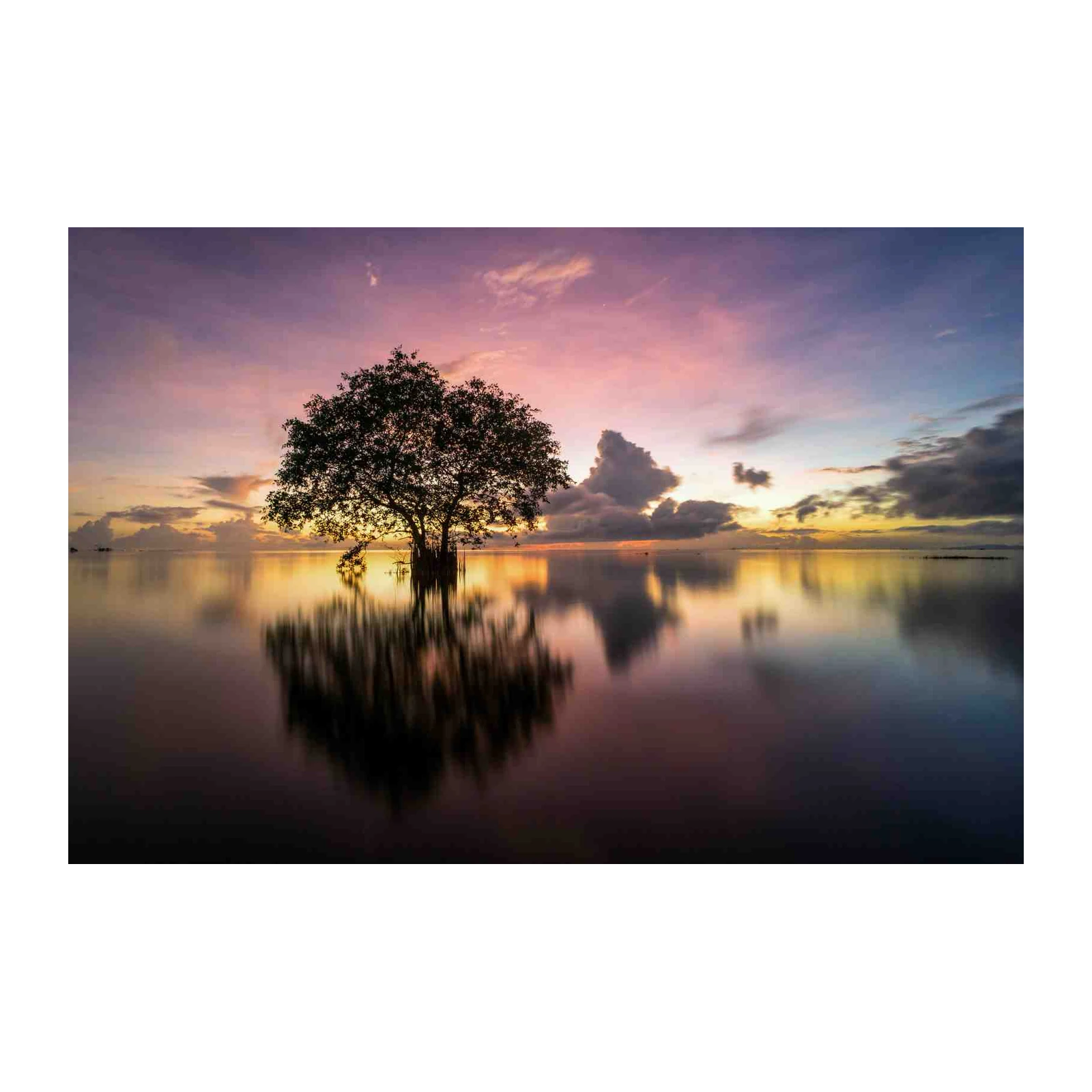 Serene Sunset Tree Wall Art - Tranquil Nature Wall Art