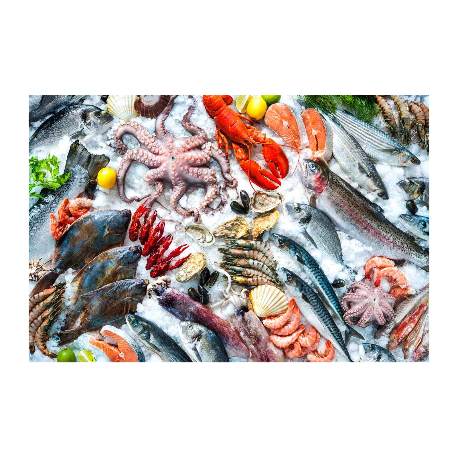 Ocean Bounty Seafood Wall Art