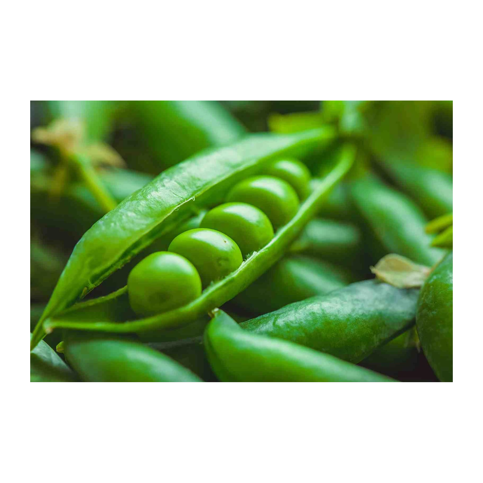 Vibrant Green Peas Close-Up Wall Art