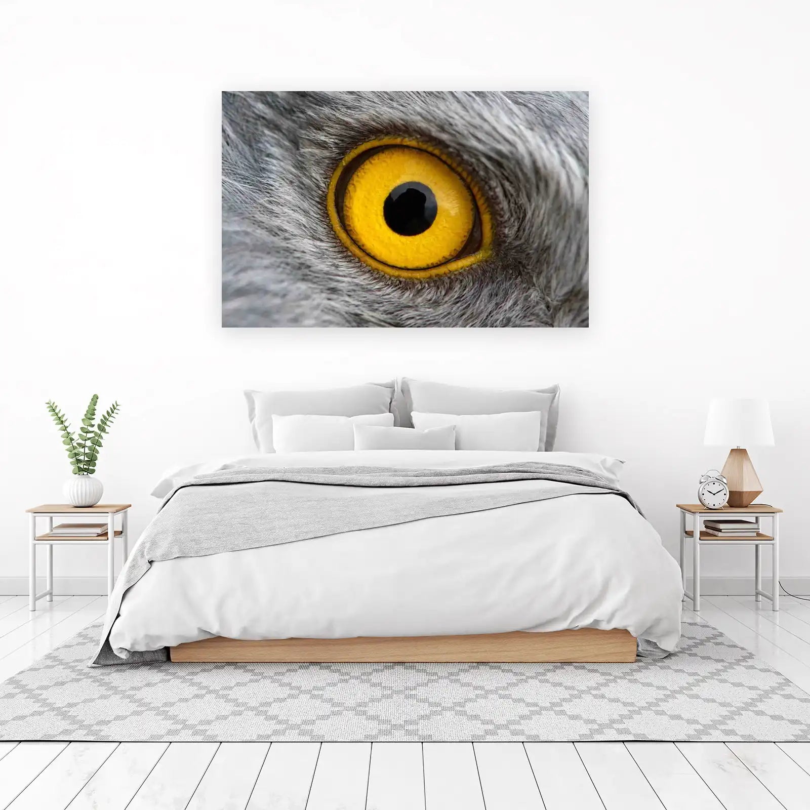 Majestic Falcon Eye Close-Up Wall Art
