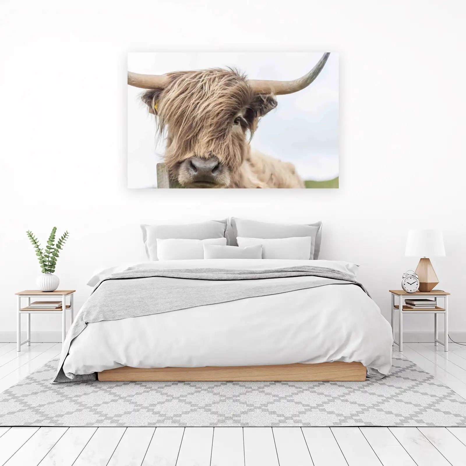 Highland Cow Portrait Wall Art