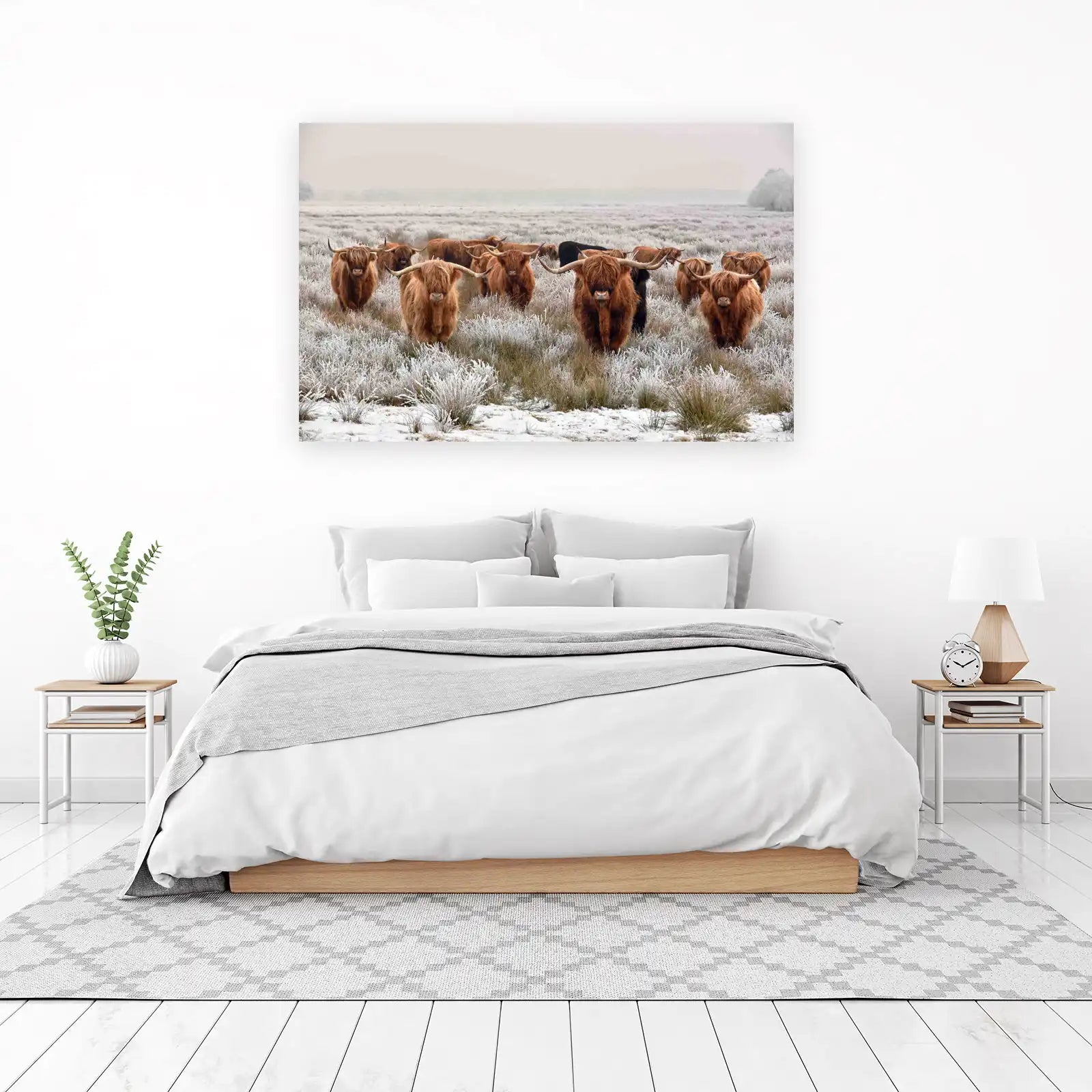 Majestic Highland Cattle Winter Field Wall Art