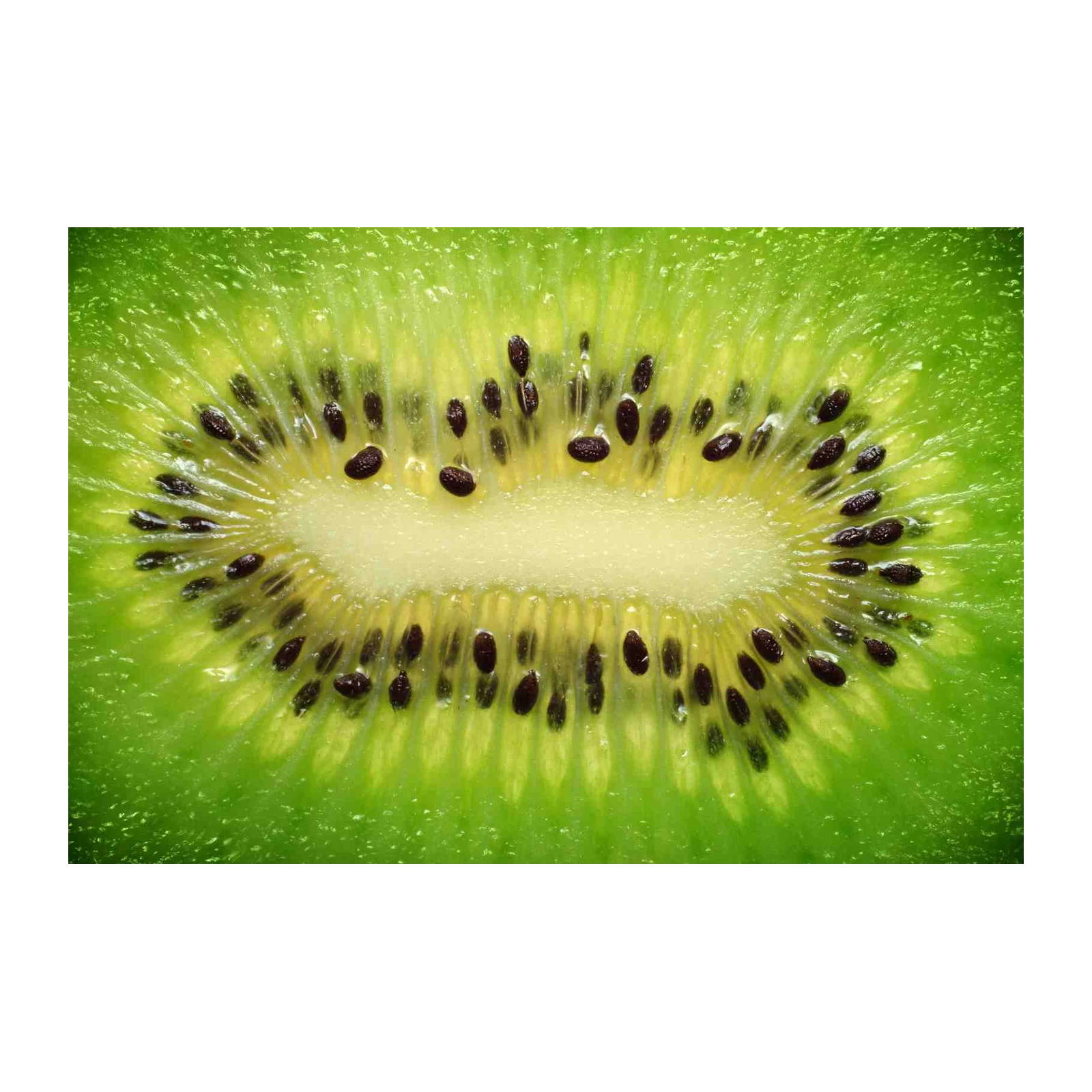 Vibrant Kiwi Slice Macro Wall Art