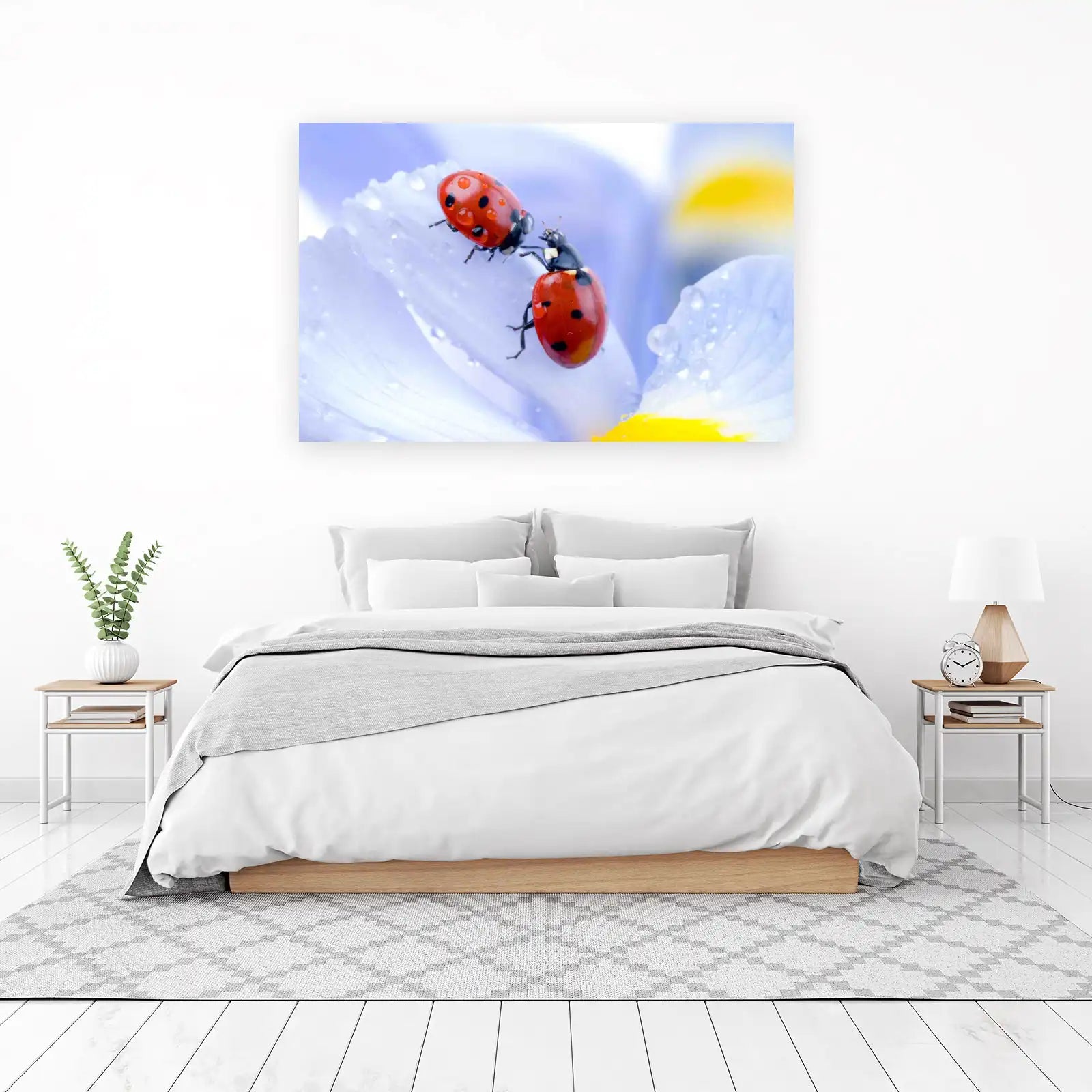 Ladybug Macro Nature Photography Wall Art