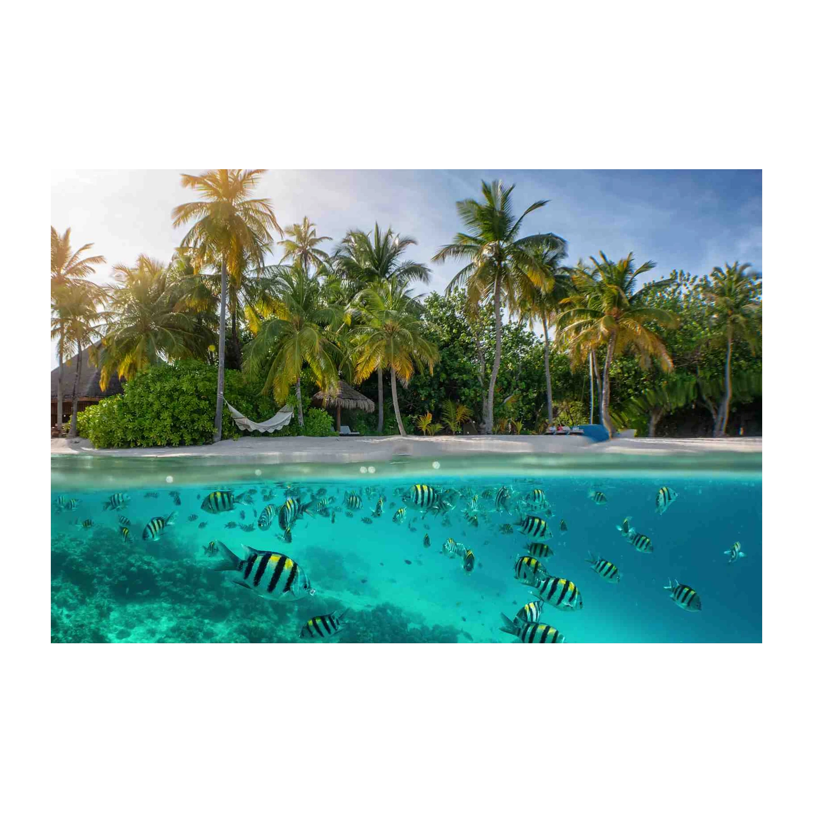 Tropical Paradise Underwater & Beach Wall Art