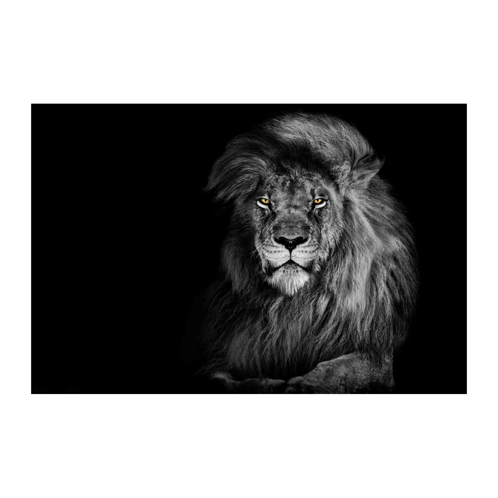 Majestic Lion Portrait Wall Art