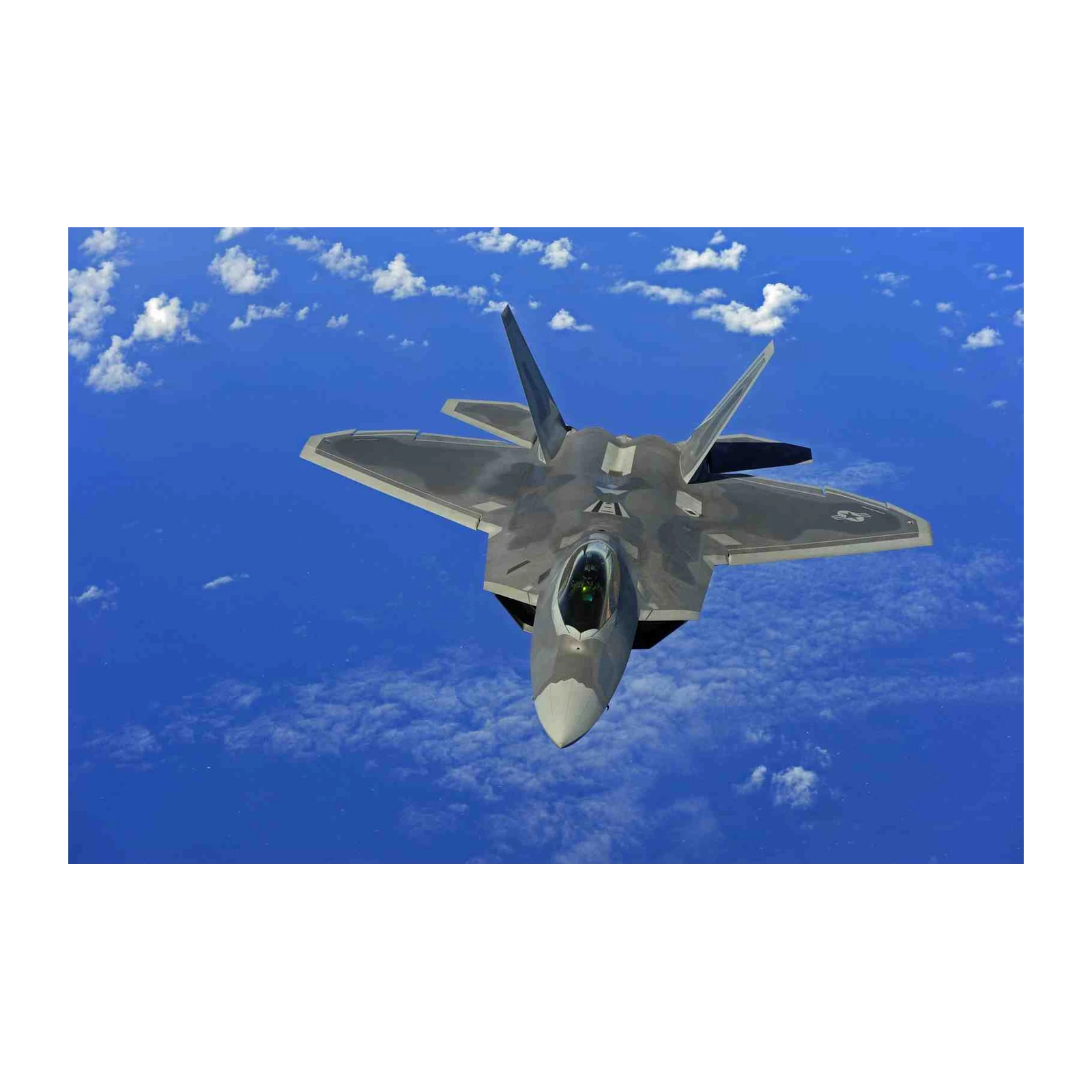 F-22 Raptor Stealth Fighter Jet Wall Art