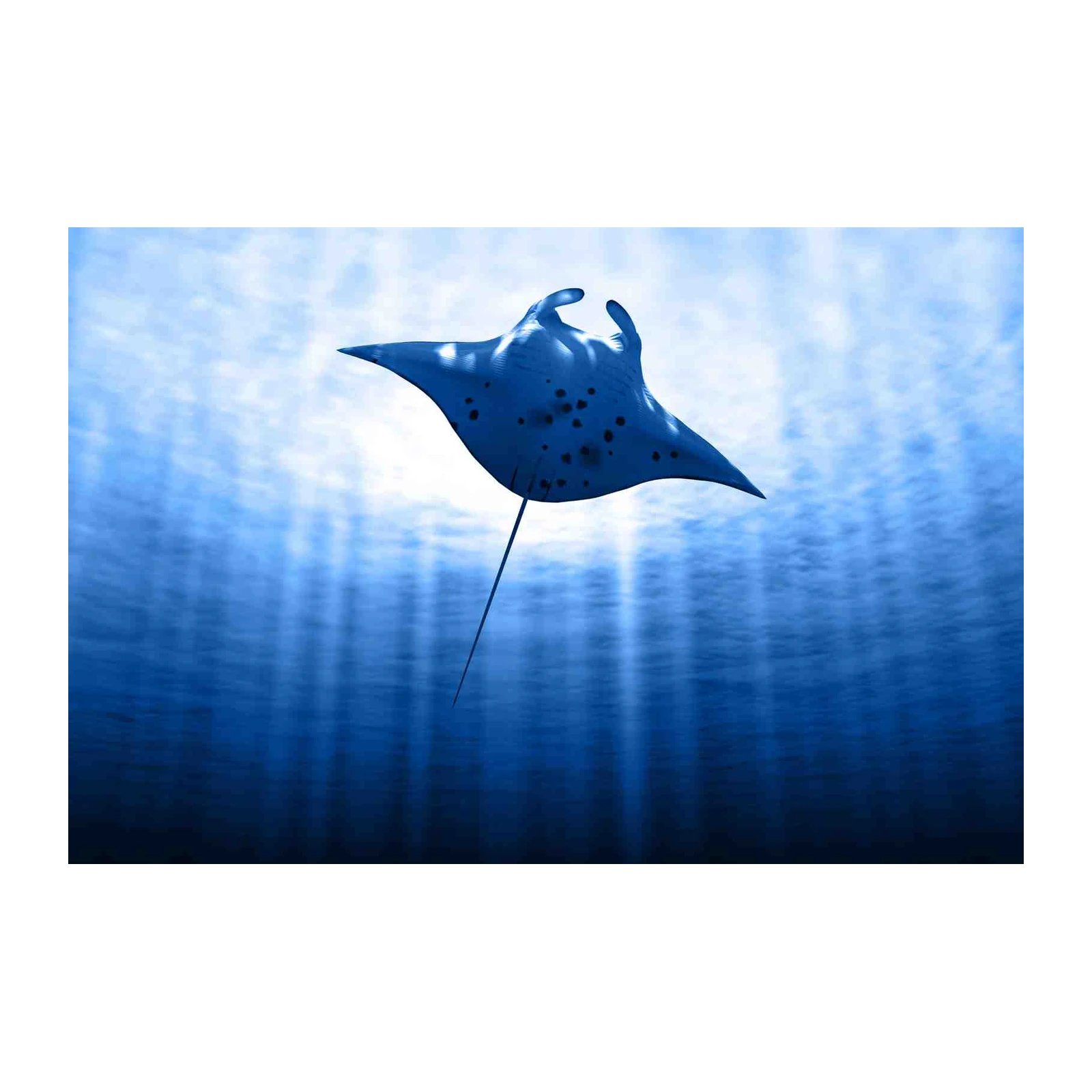 Majestic Manta Ray Underwater Scene Wall Art