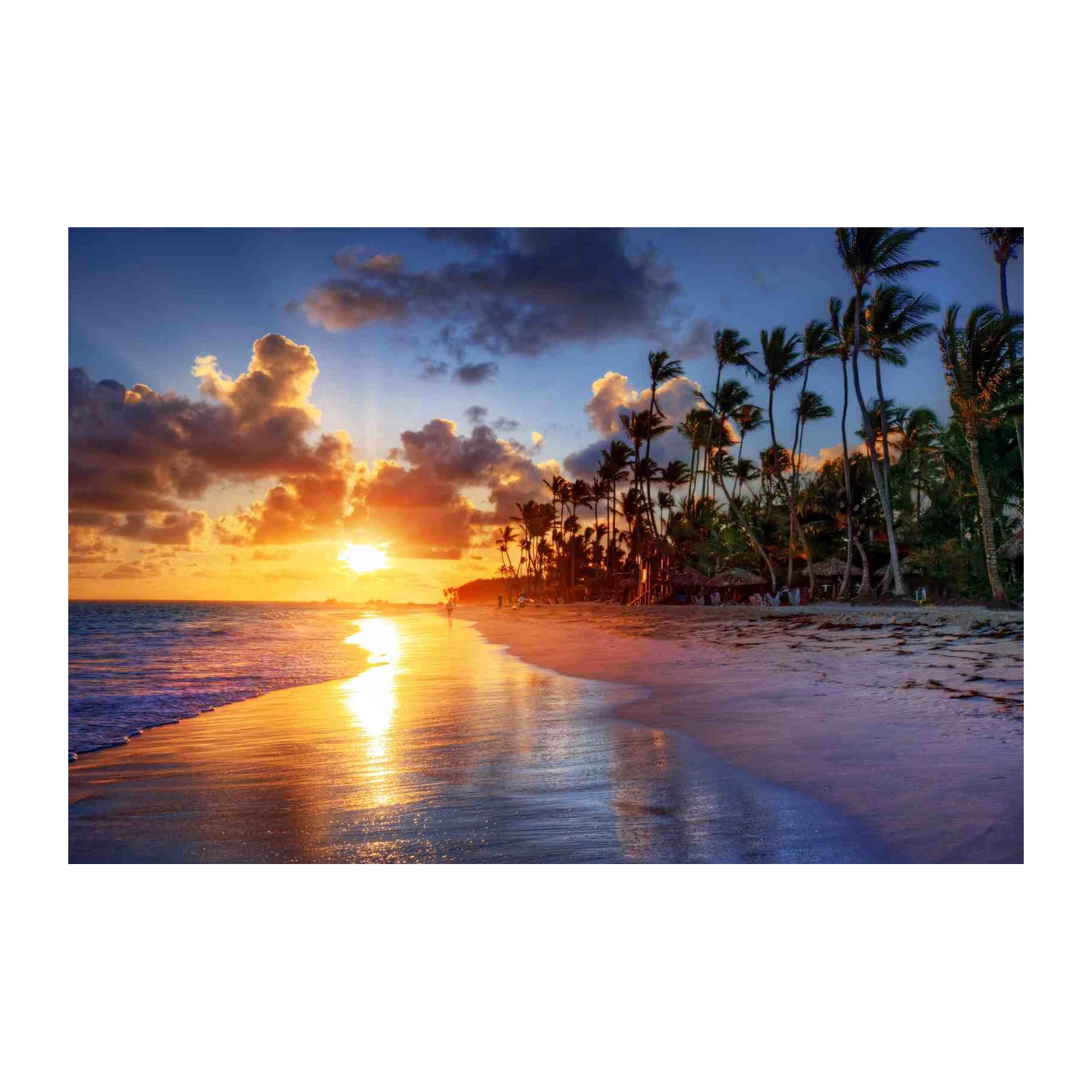 Tropical Sunset Beach Palm Trees Wall Art
