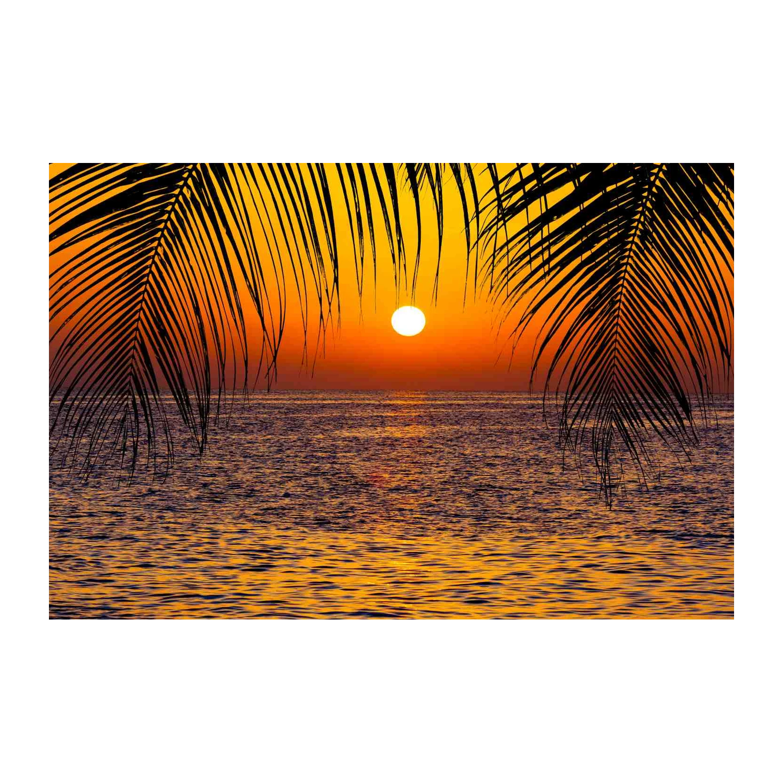 Vibrant Tropical Sunset Palm Wall Art