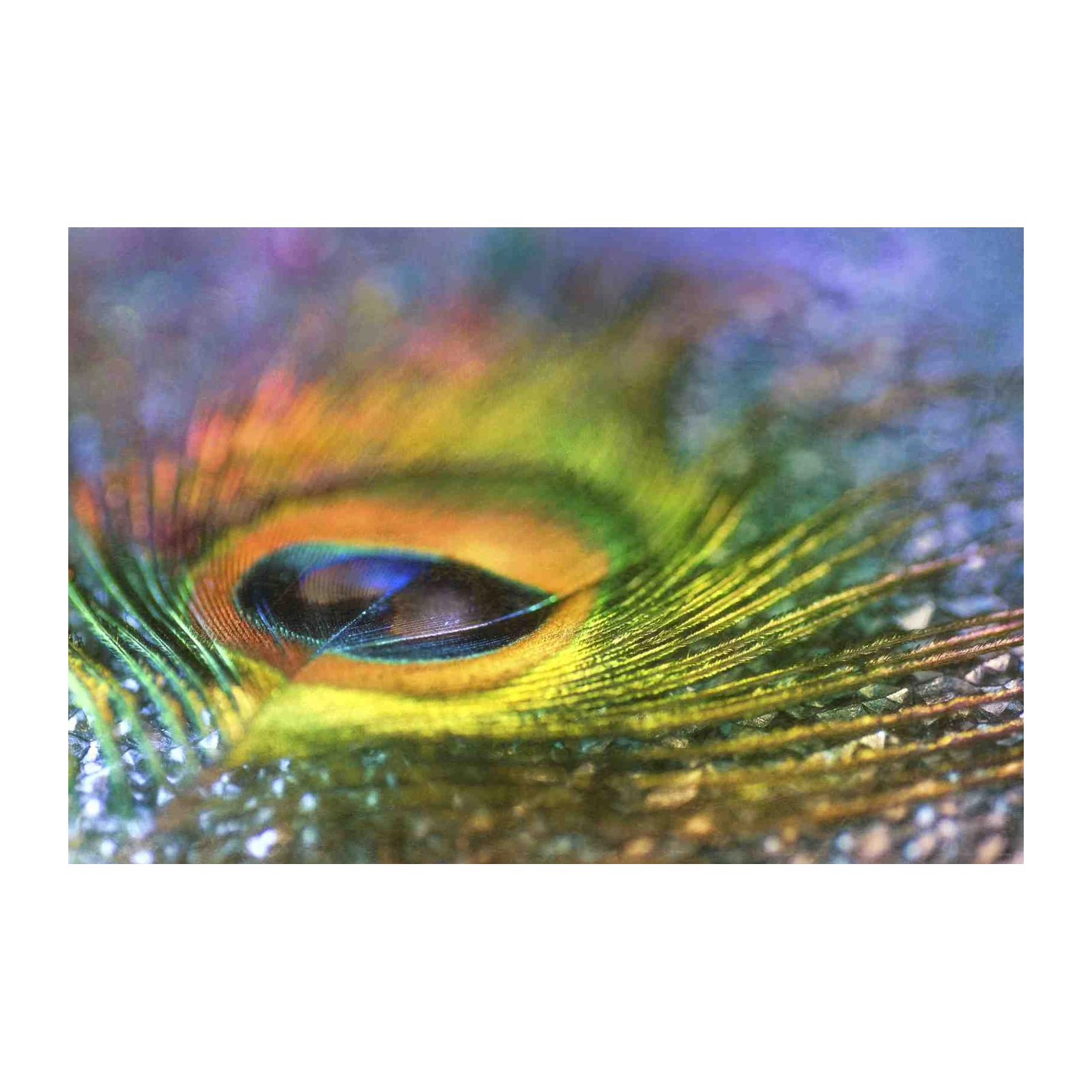 Vibrant Peacock Feather Abstract Wall Art