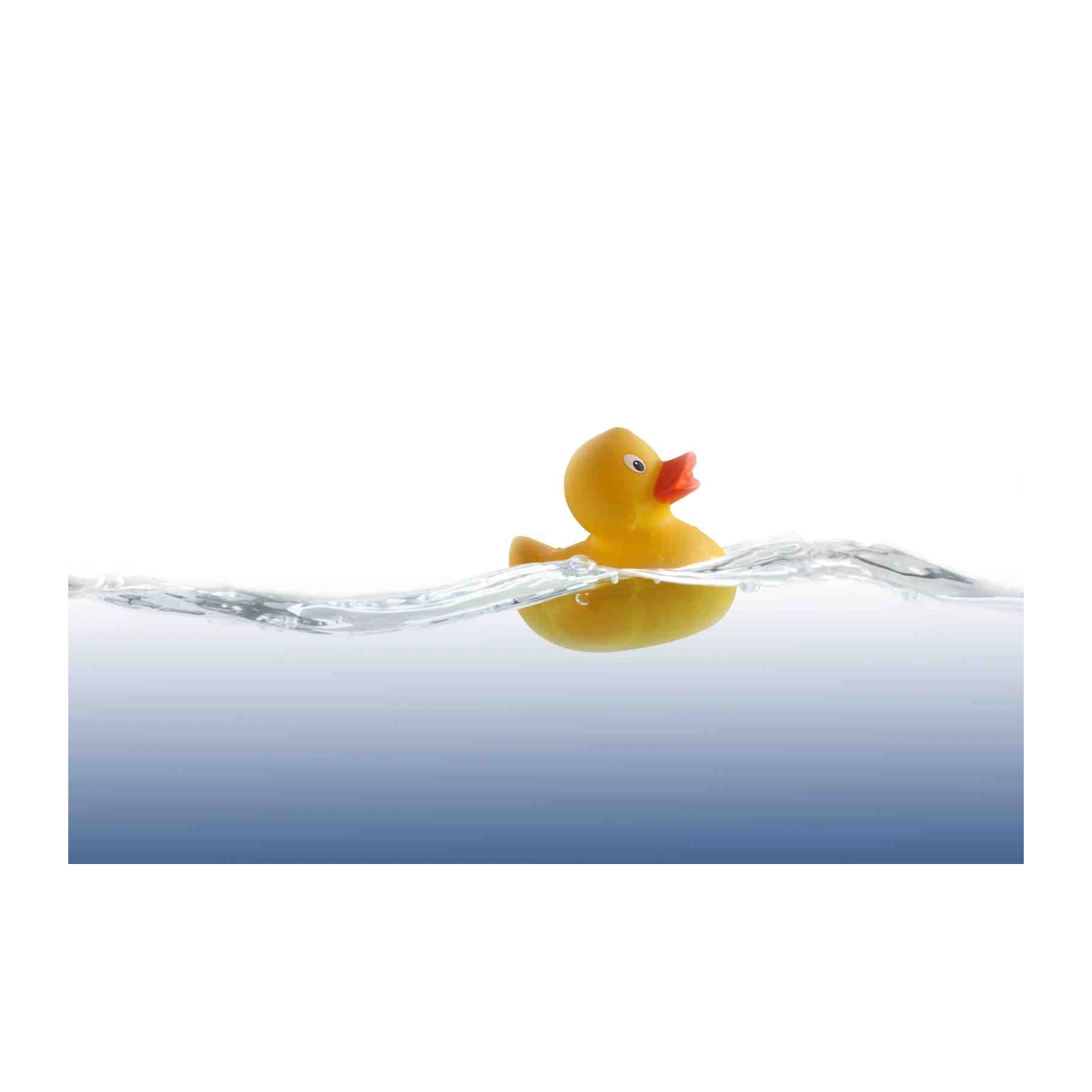 Playful Rubber Duck Floating in Water Wall Art