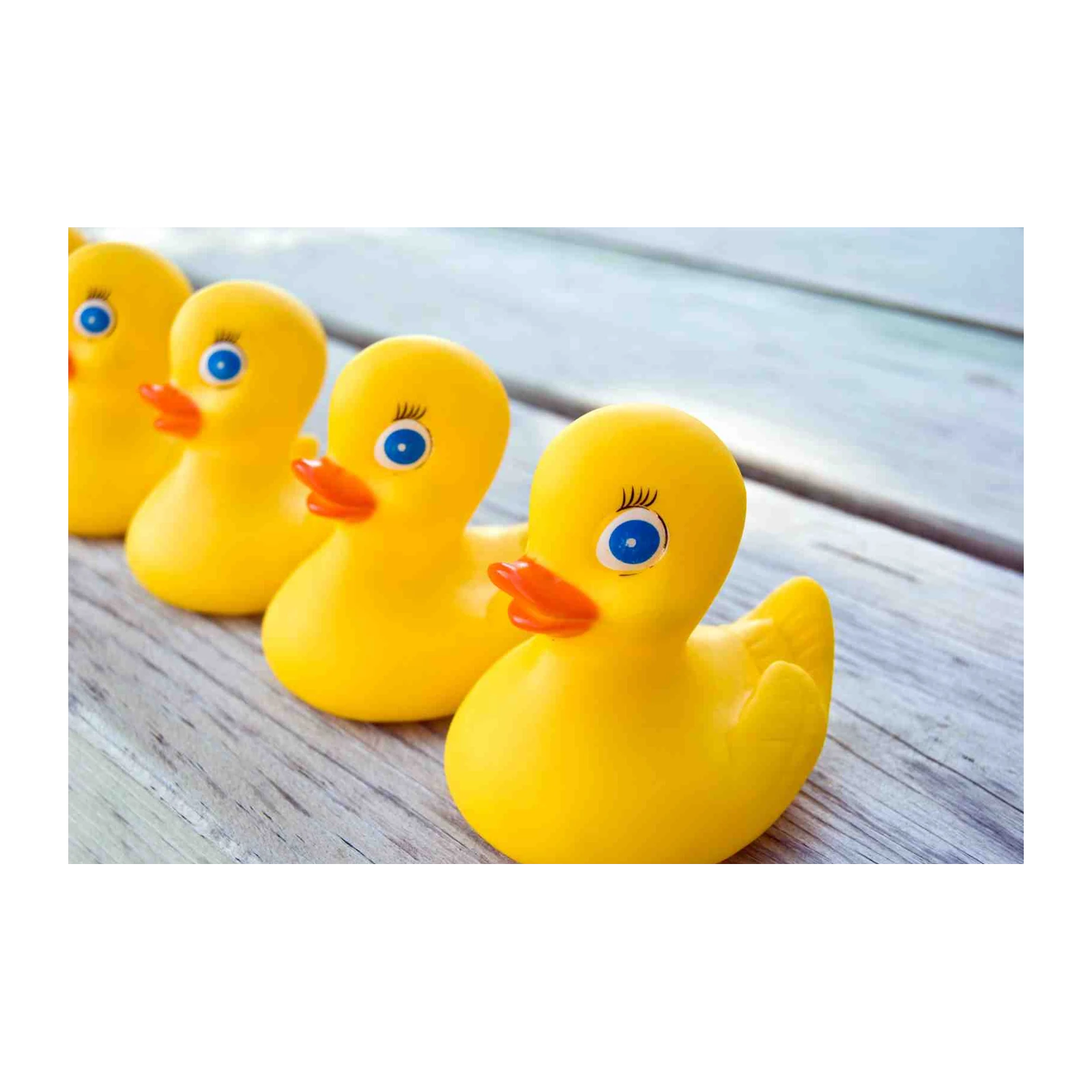 Adorable Yellow Rubber Ducks Wall Art Wall Art