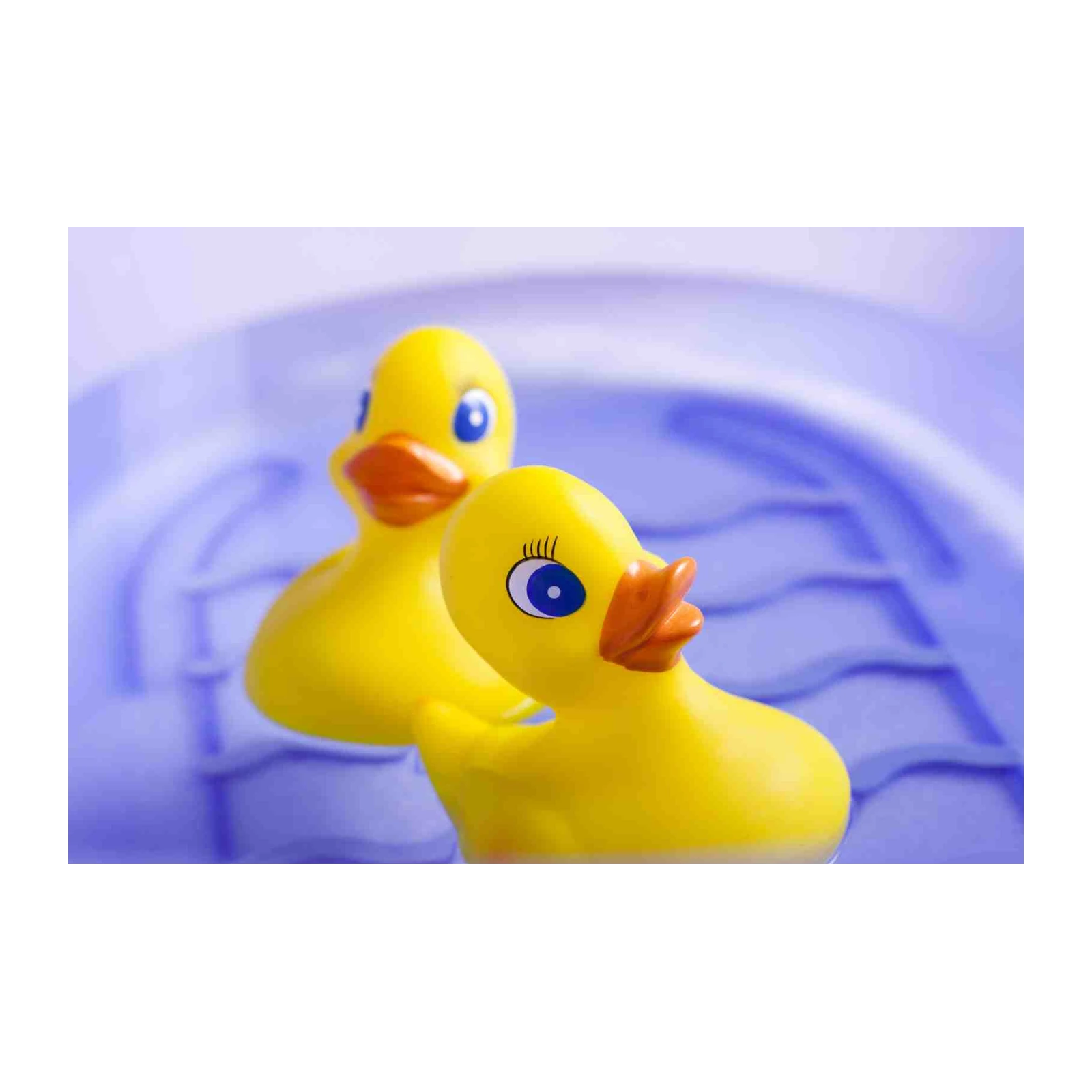 Playful Yellow Ducks in Tub Wall Art