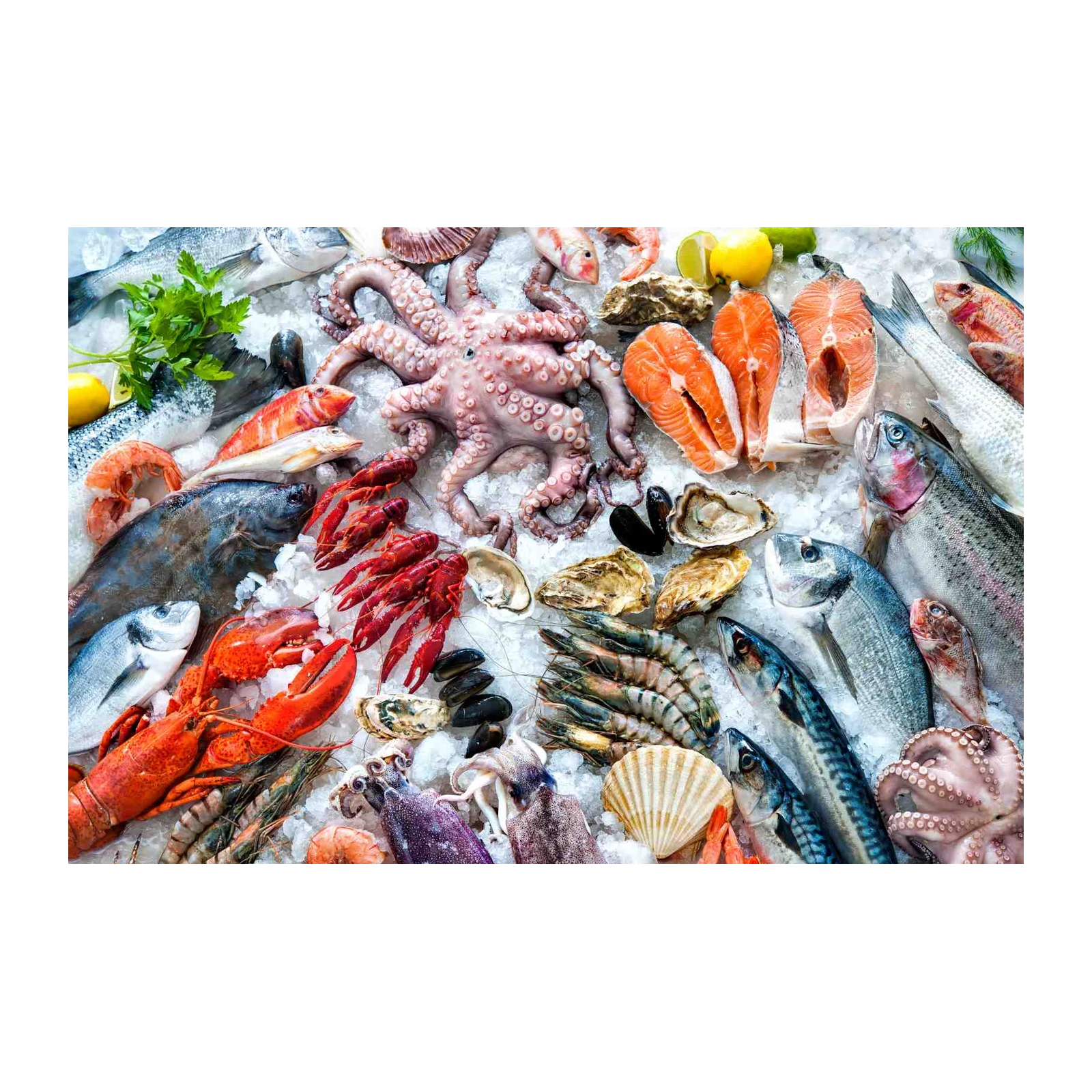 Vibrant Seafood Assortment Wall Art
