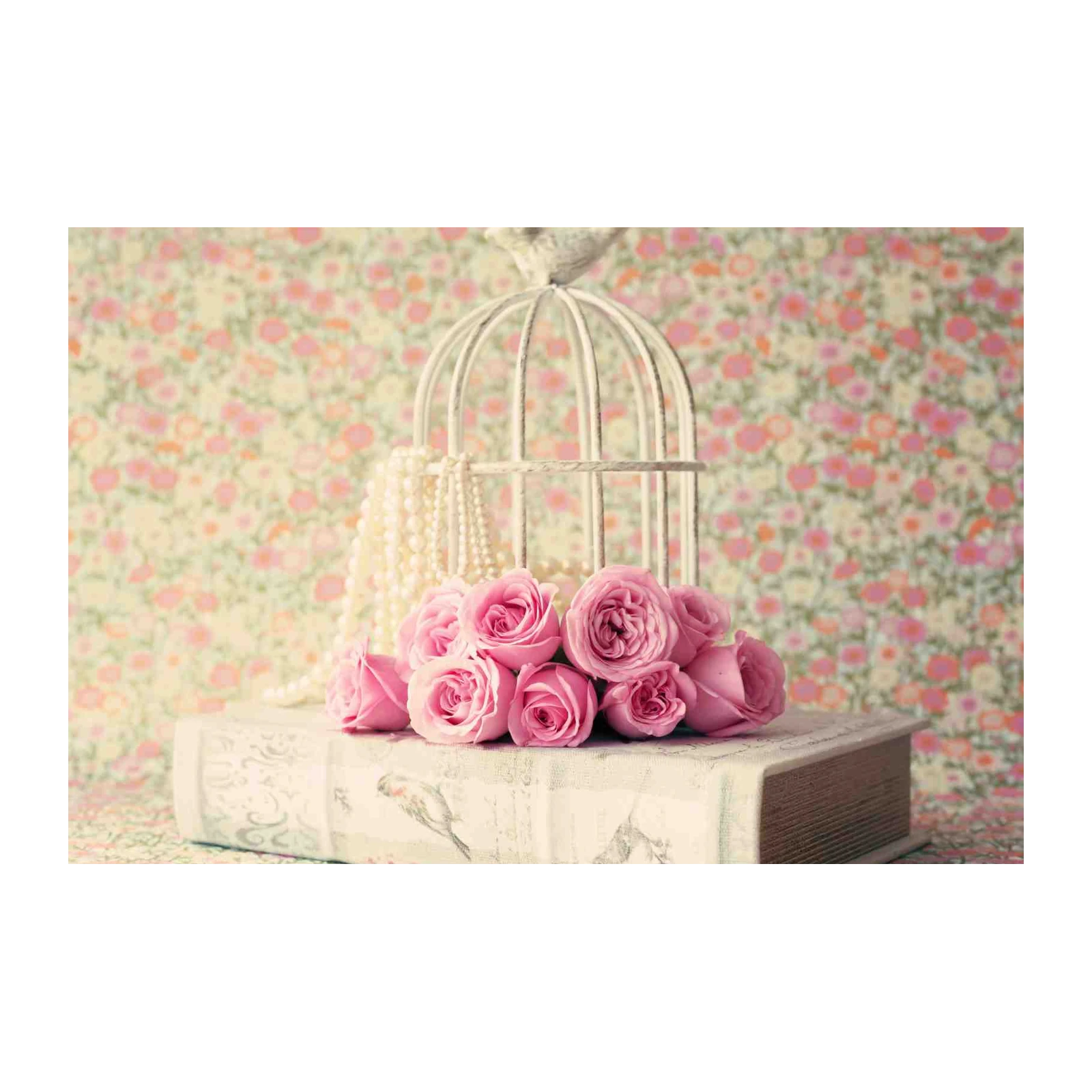 Shabby Chic Roses & Birdcage Wall Art
