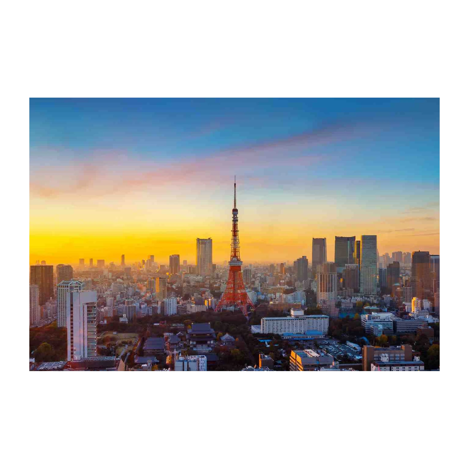 Tokyo Skyline at Sunset Wall Art - Cityscape Art