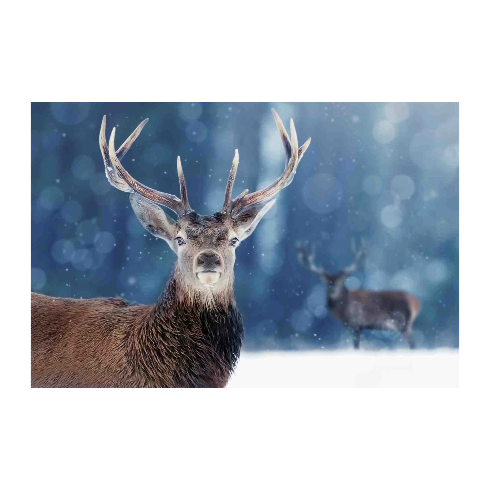 Majestic Stag Winter Forest Wall Art
