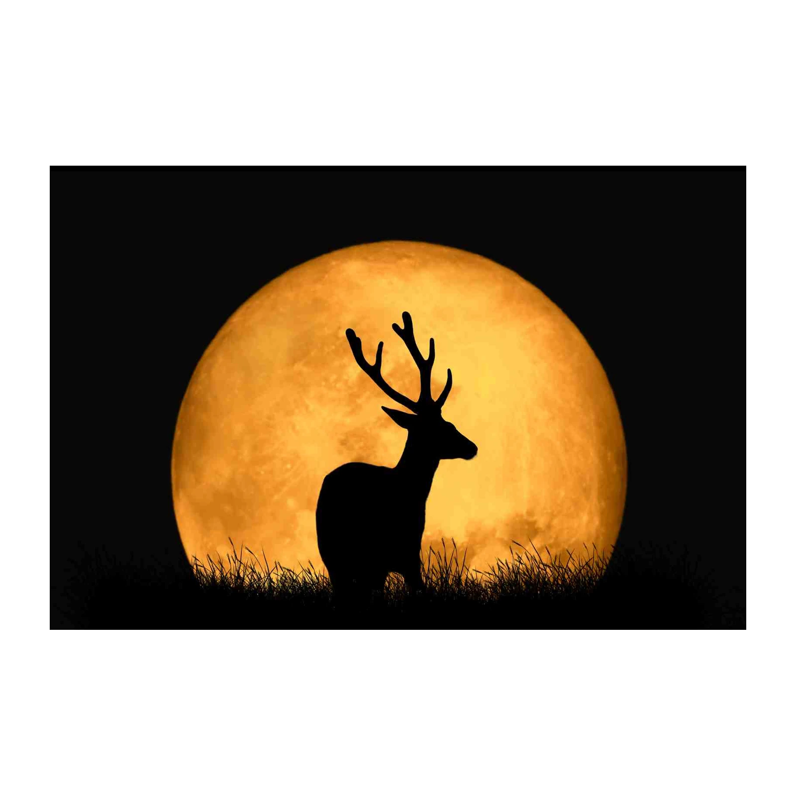 Majestic Stag Silhouette Full Moon Wall Art