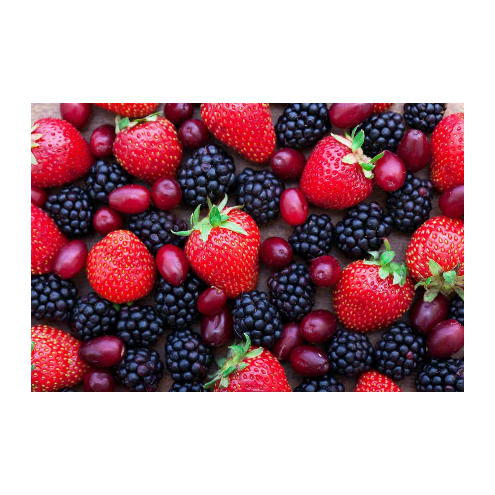 Vibrant Berry Medley Wall Art