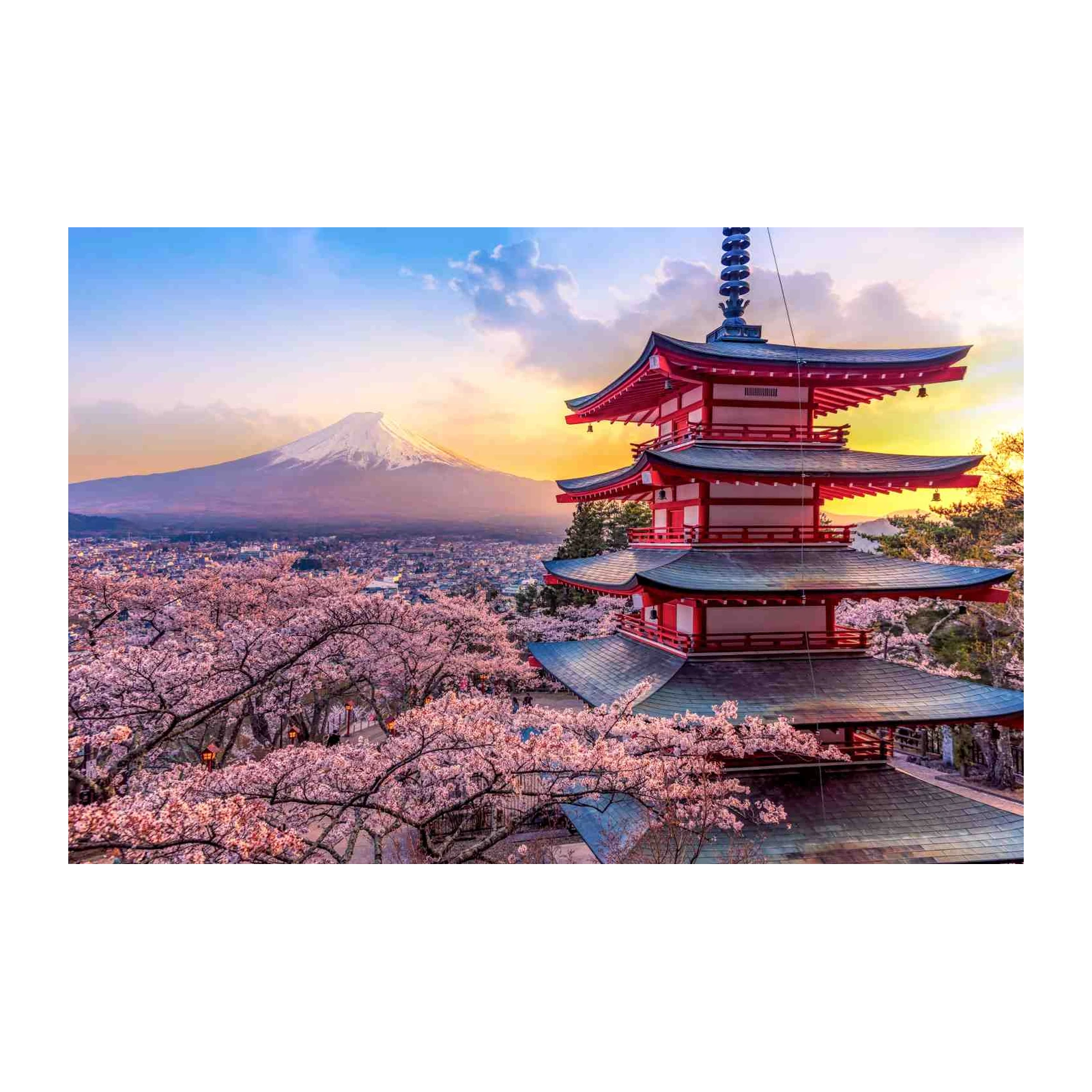 Mount Fuji Pagoda Cherry Blossom Wall Art
