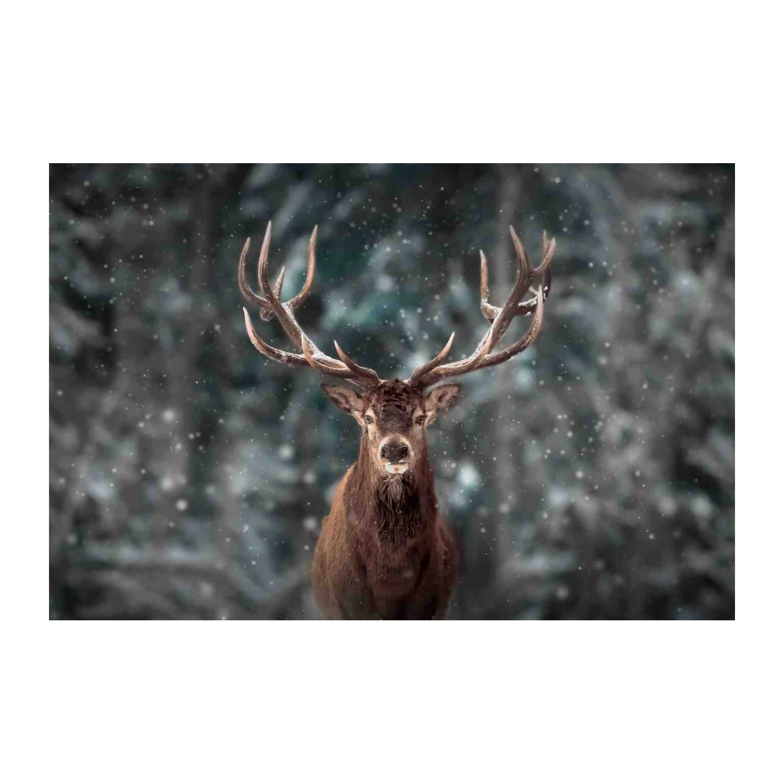 Majestic Stag Winter Forest Wall Art