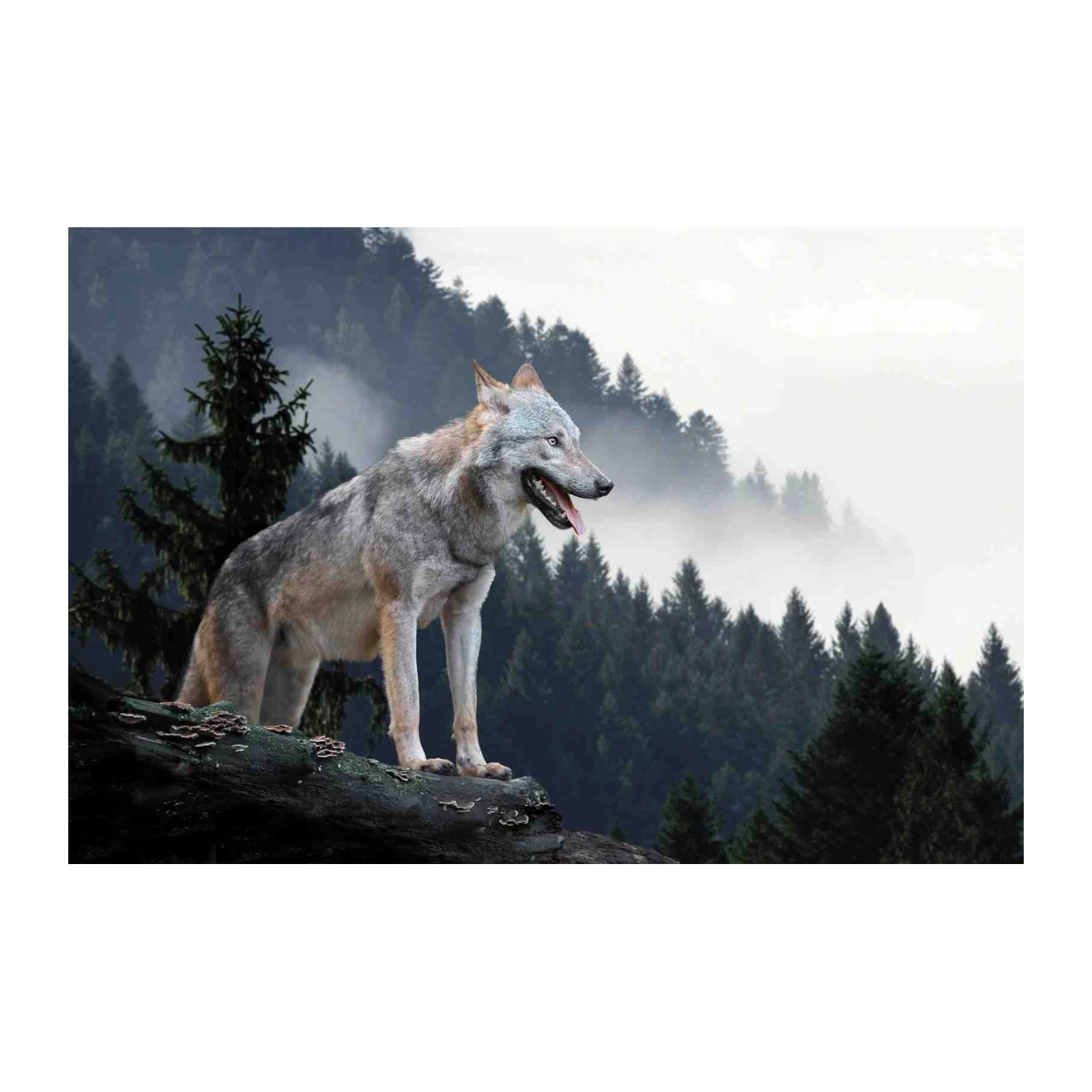 Misty Forest Wolf Alpha Aura Wall Art